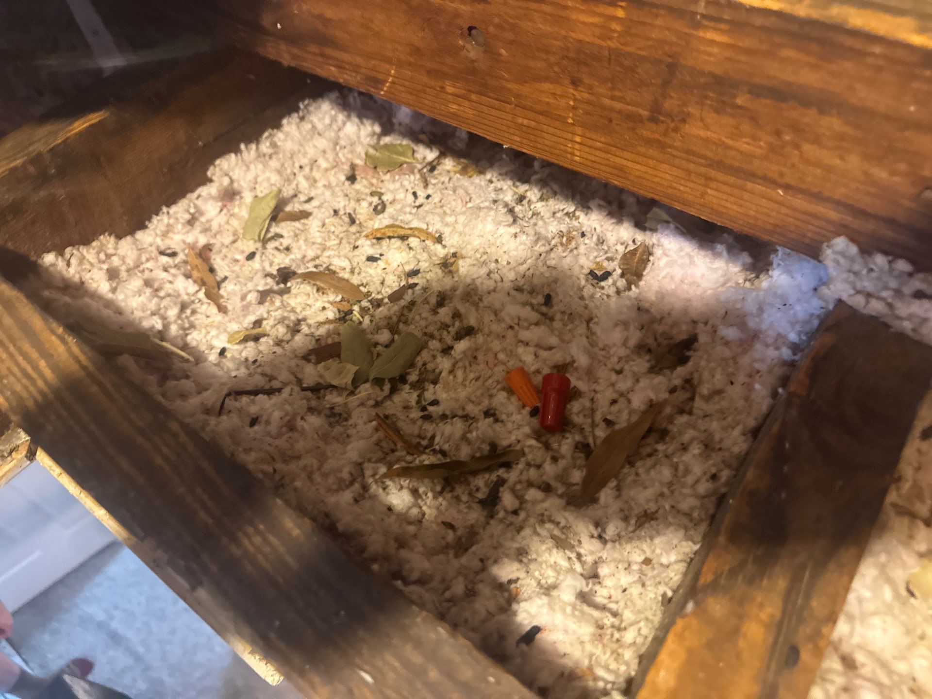 Project in Norfolk by Patriot Crawl Space Repairs