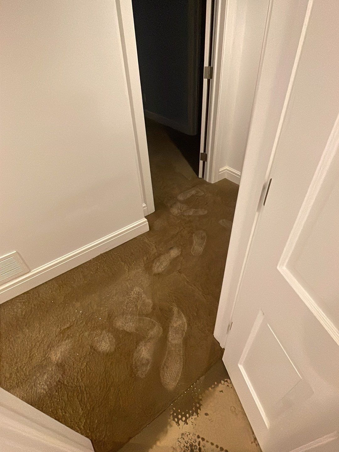 Project in Bloomfield Hills by EzDry Water Mitigation & Property Restoration