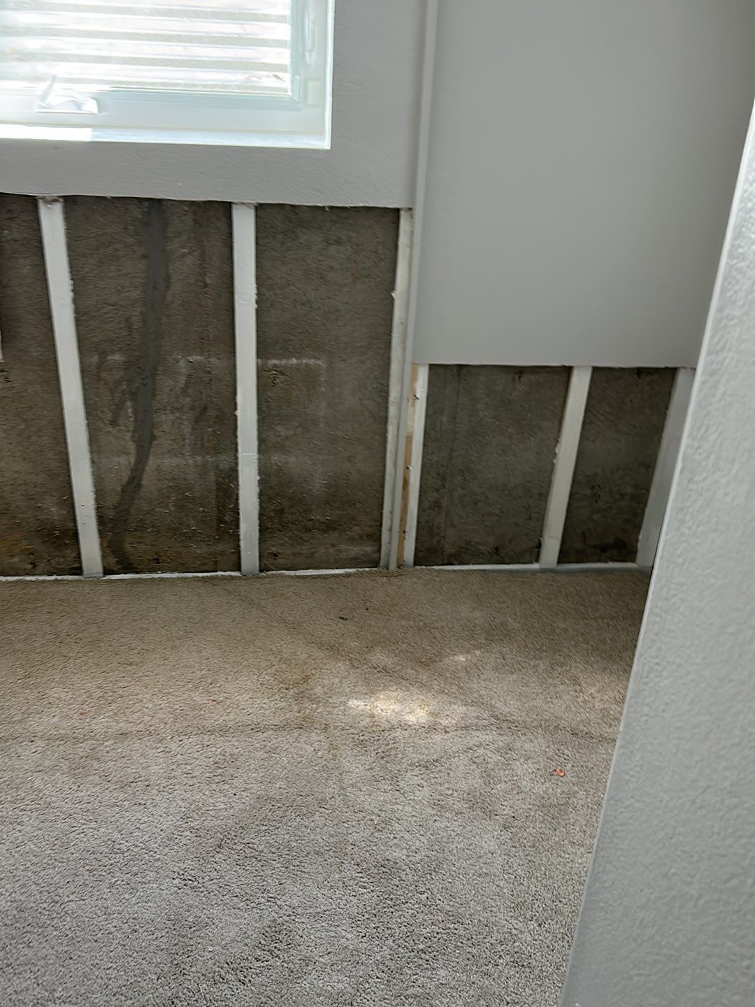 Mold Damage Repairs by Accountable Home Services