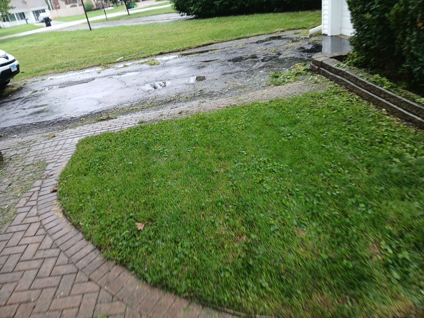 Steven L. - Park Ridge, IL by A&N