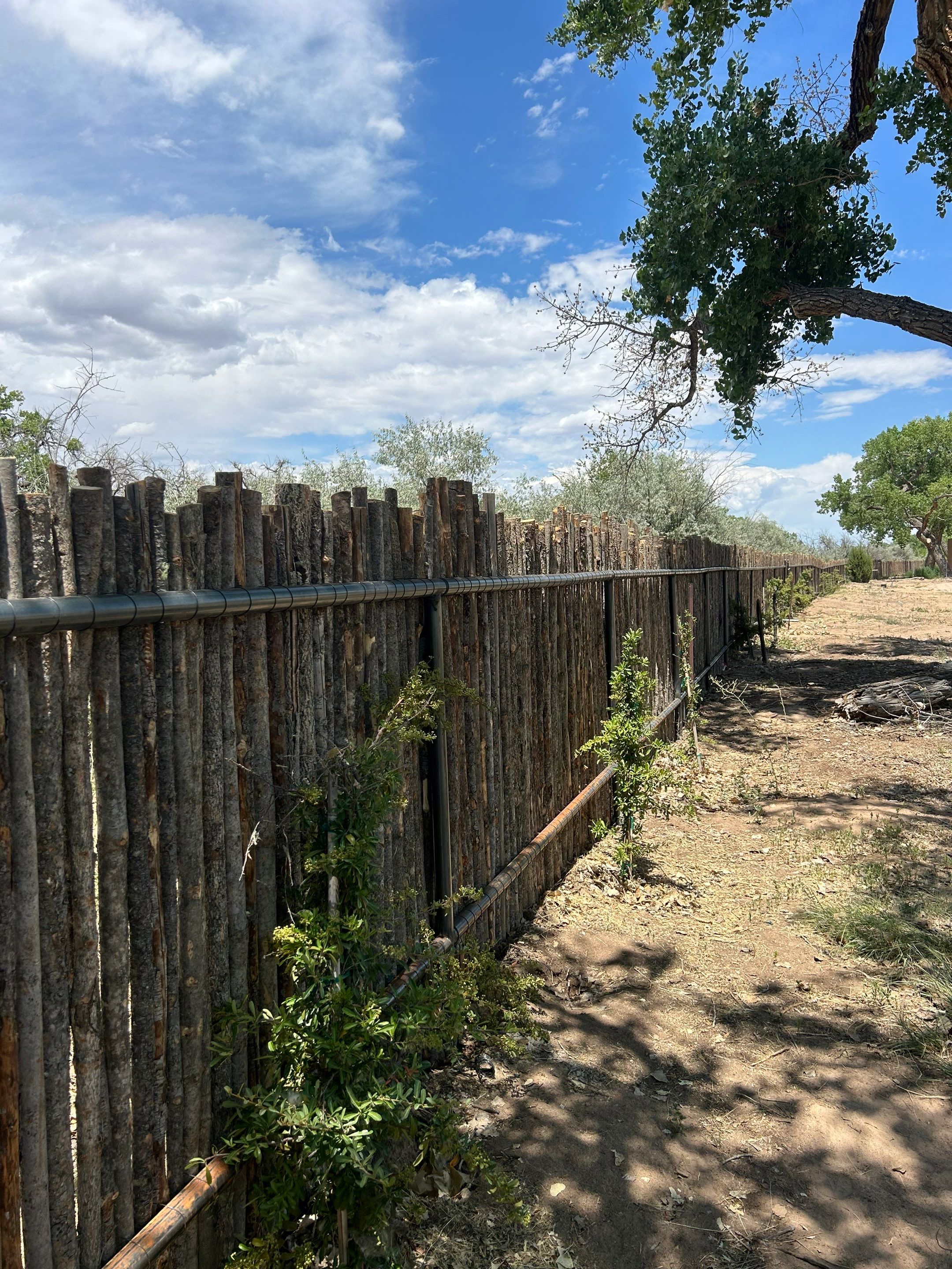 Residential using Latilla by Valley Fence Company