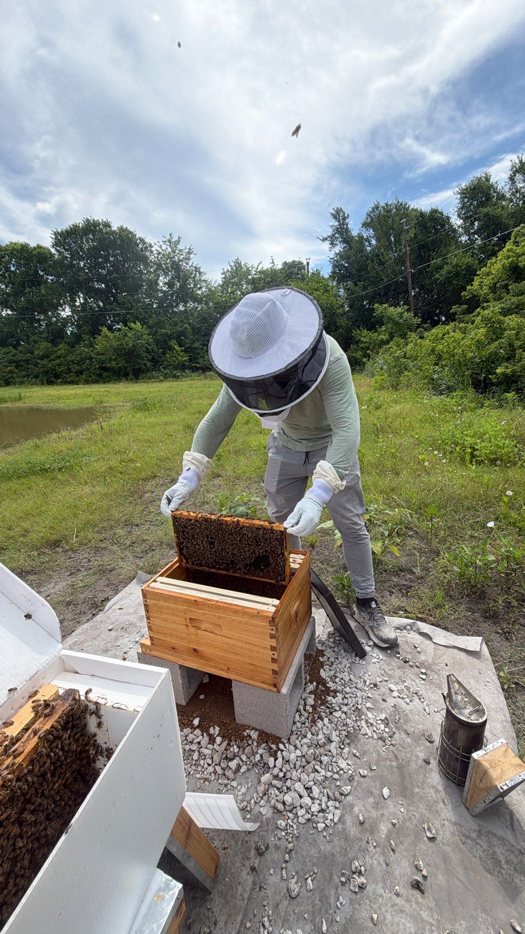 Hometown New Beek by Rockwall Honey Bee Company