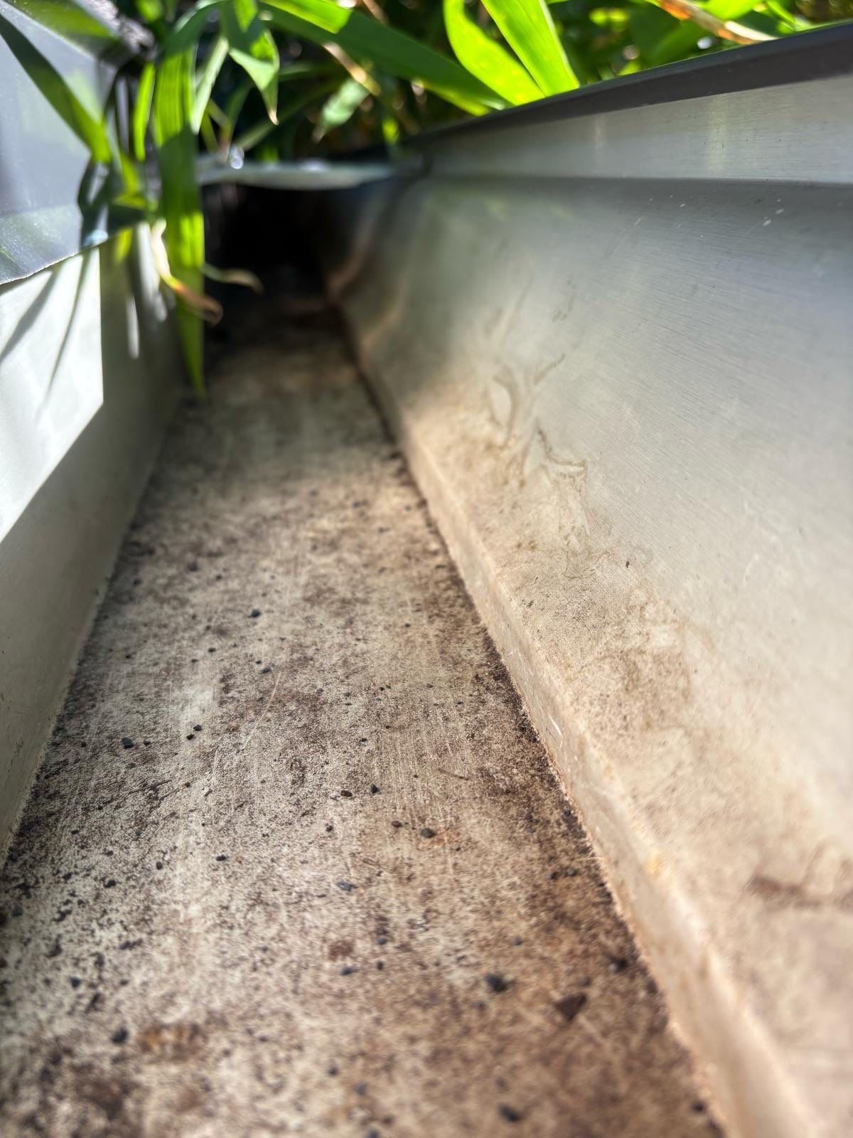 Gutter Cleaning Service in Sarasota FL by Gutter Professors