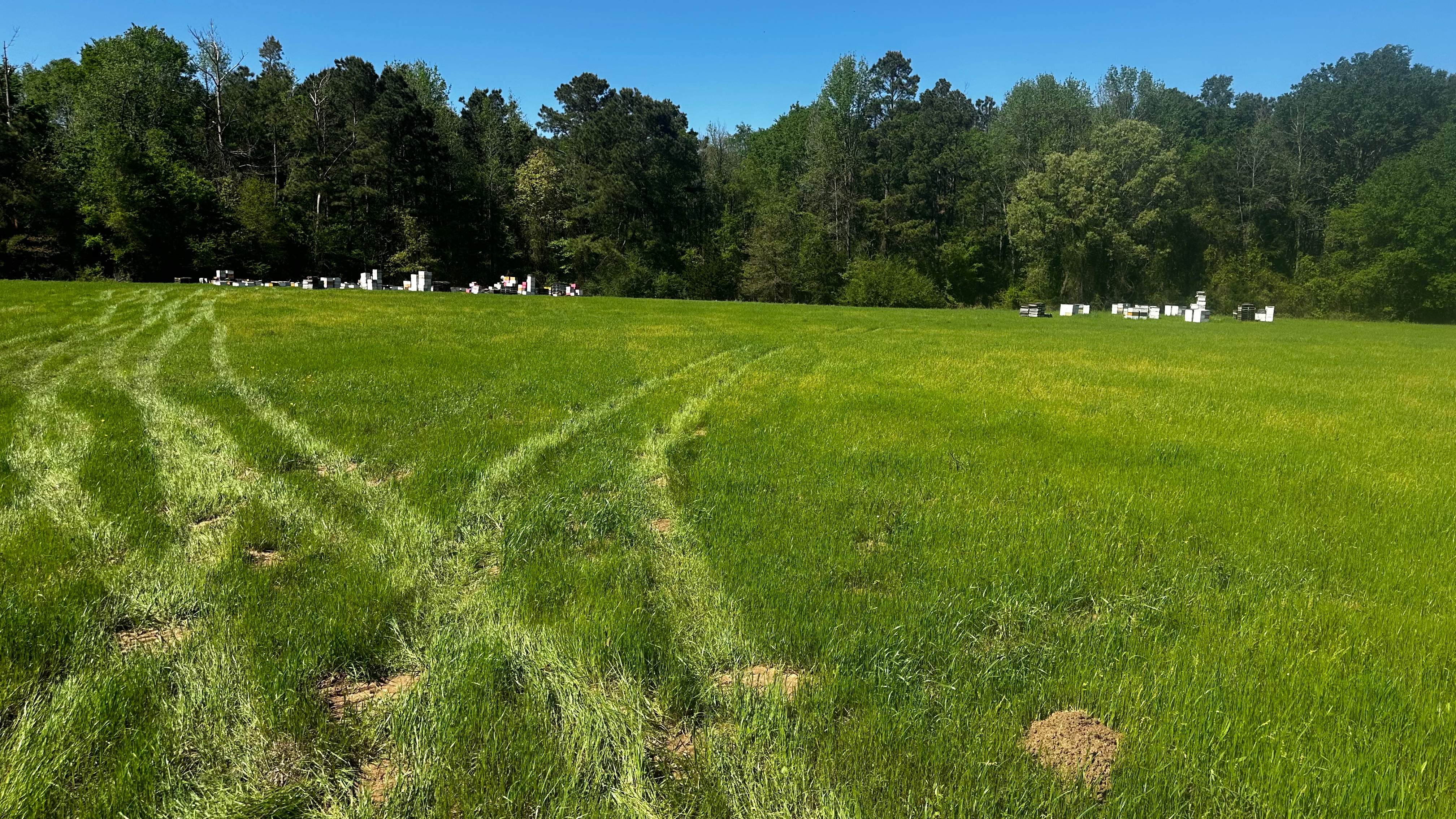 Traylor's Hay Meadow Apiary by Rockwall Honey Bee Company