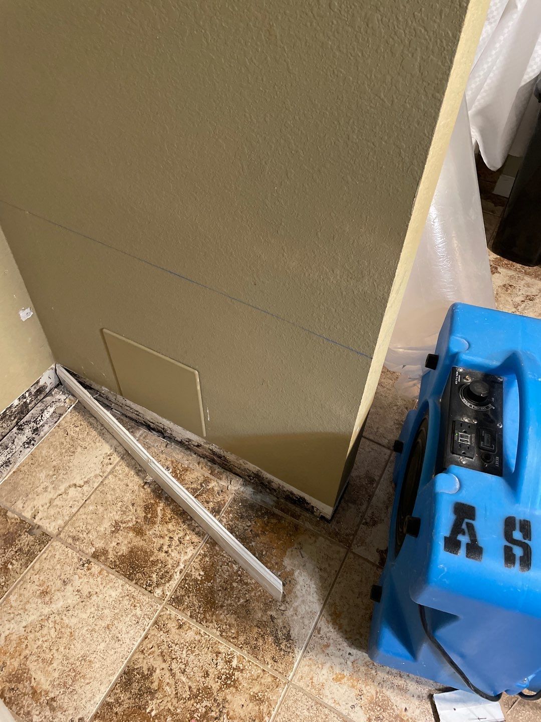 Water Damage and Mold Remediation by Accountable Home Services