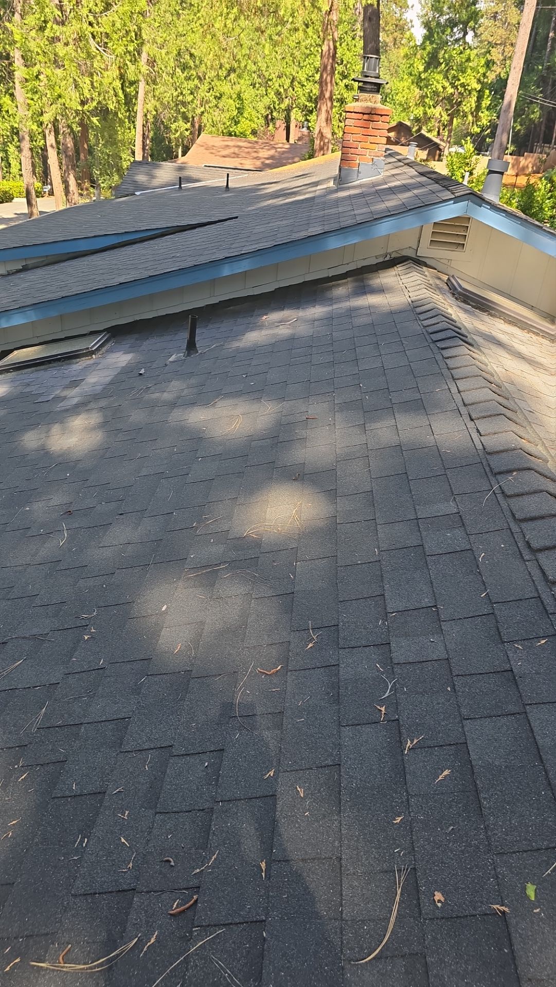 Roof Rejuvenation using Roof Maxx Treatment by Roof Maxx of Folsom