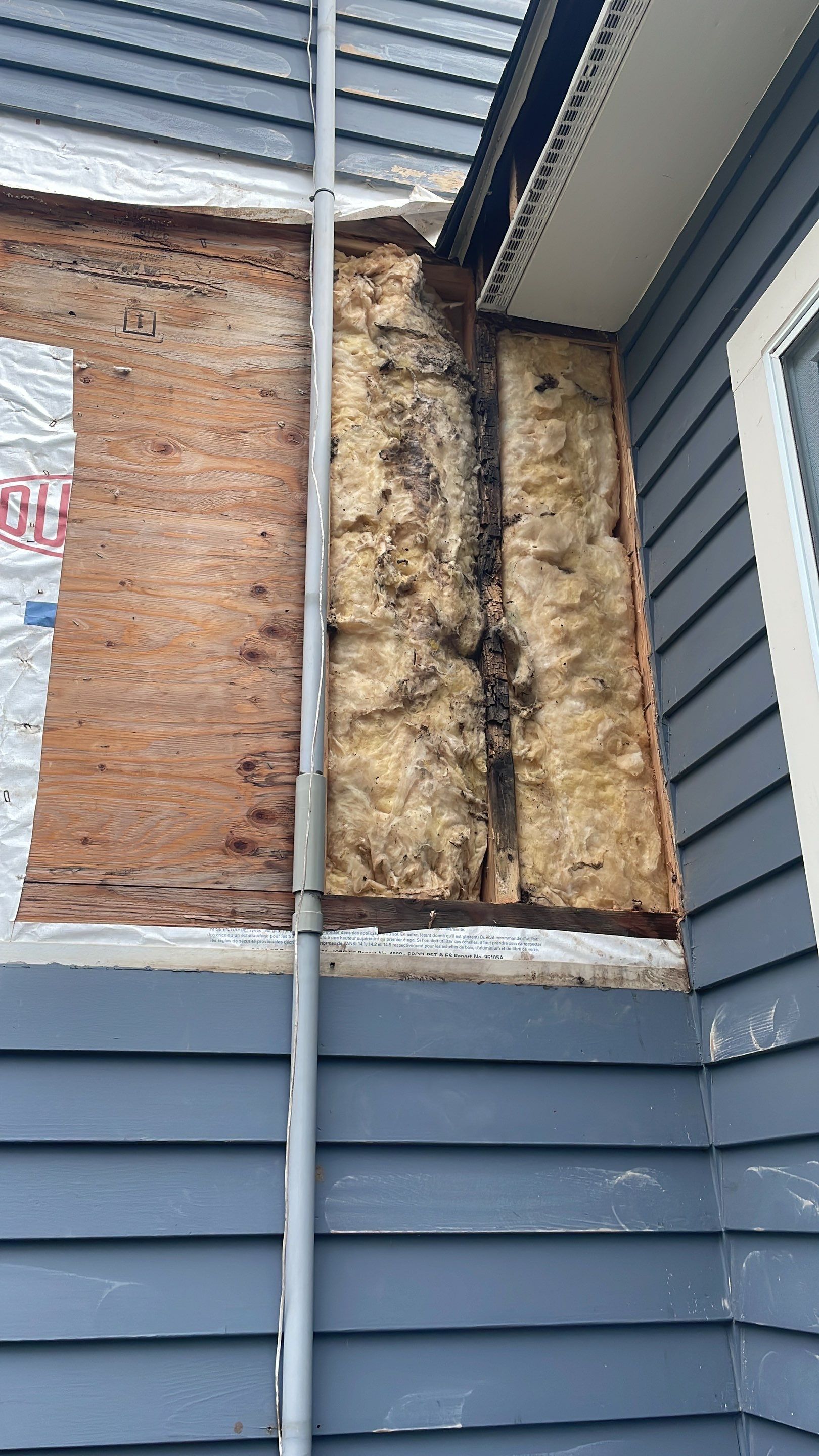 Exterior Painting & Carpentry Repairs by EXCELLENCE | CARTO