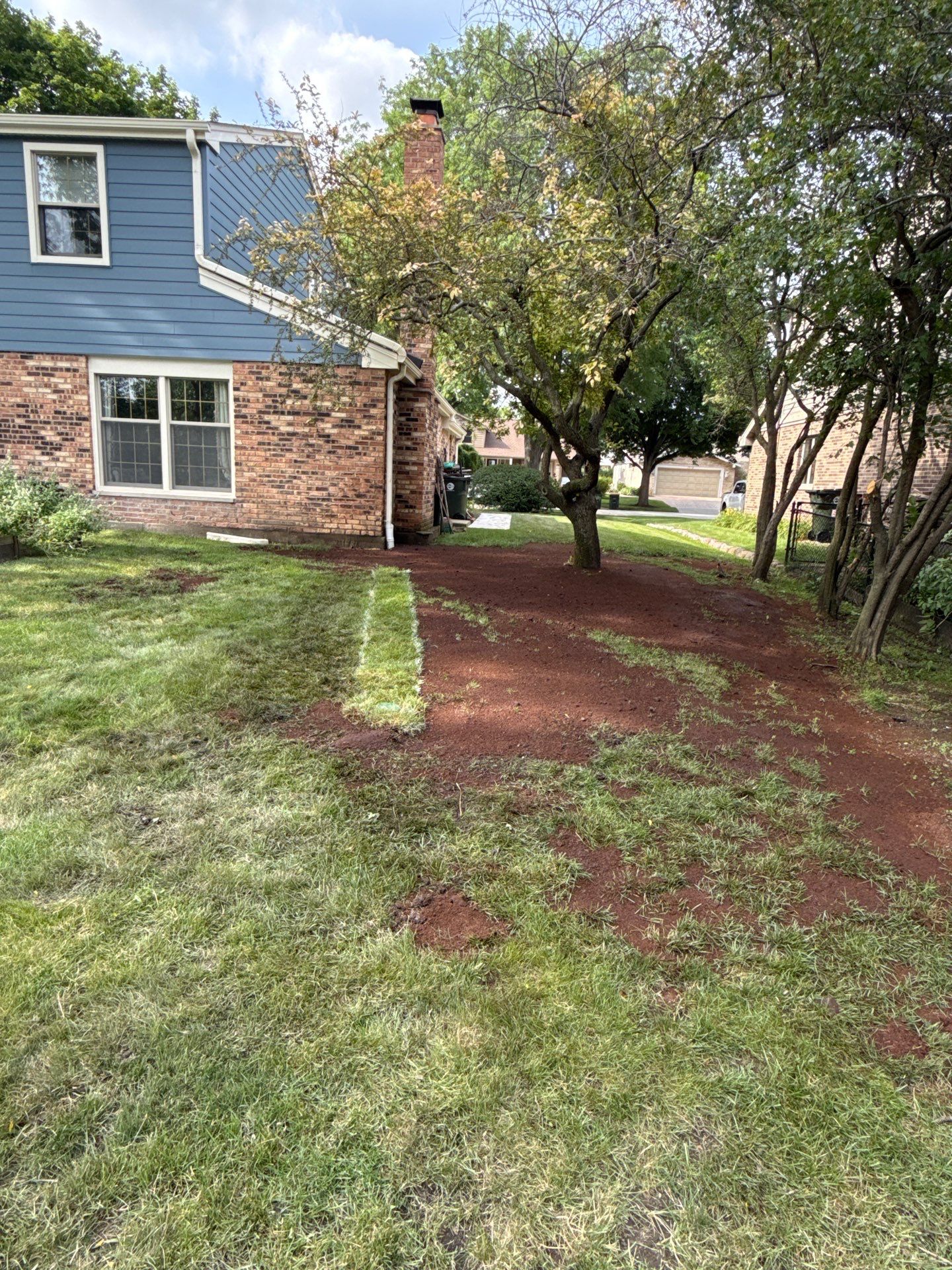 Alicia S. - Arlington Heights, IL by A&N