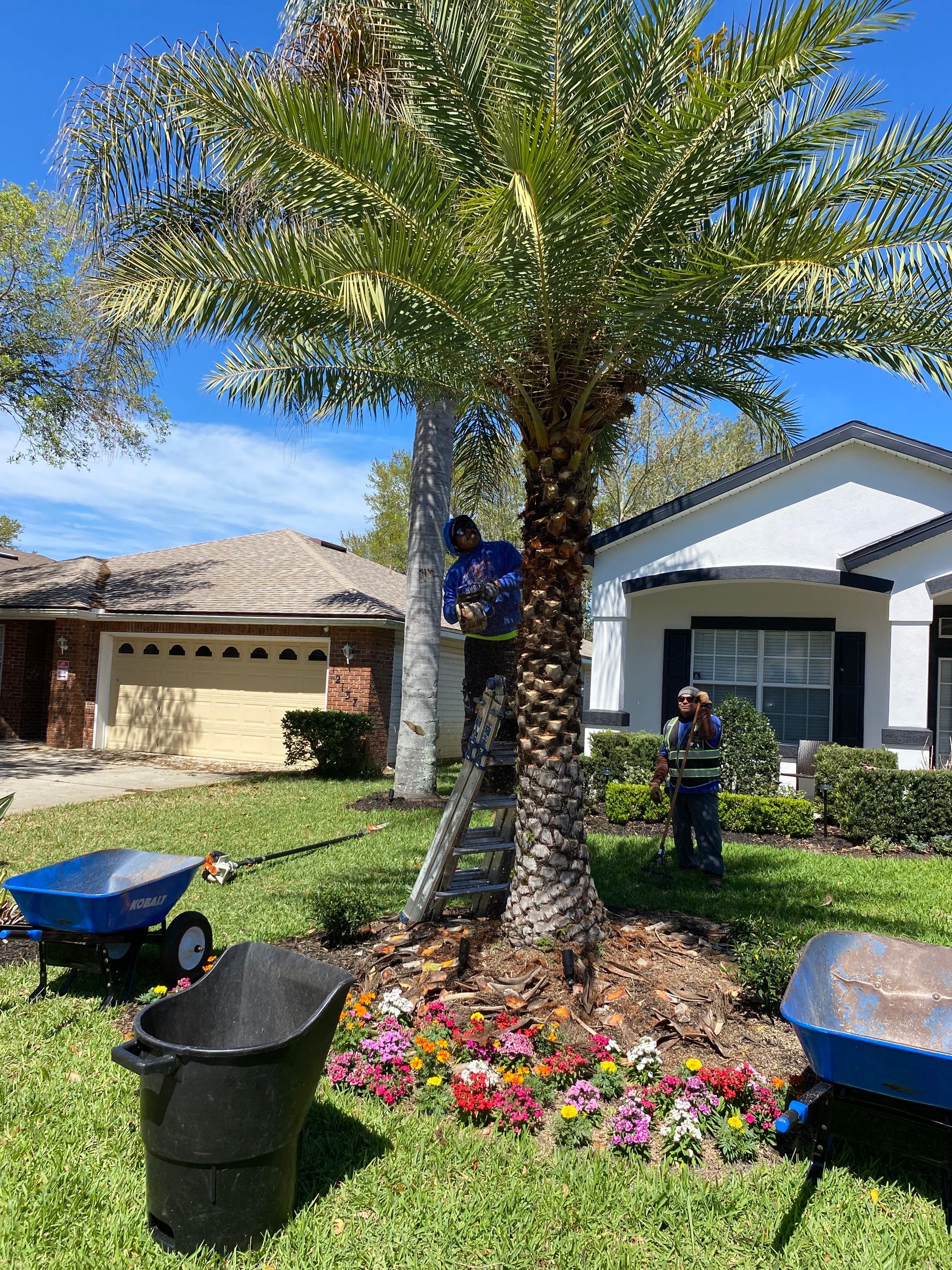Residential | Tree Service by ProGreen Services
