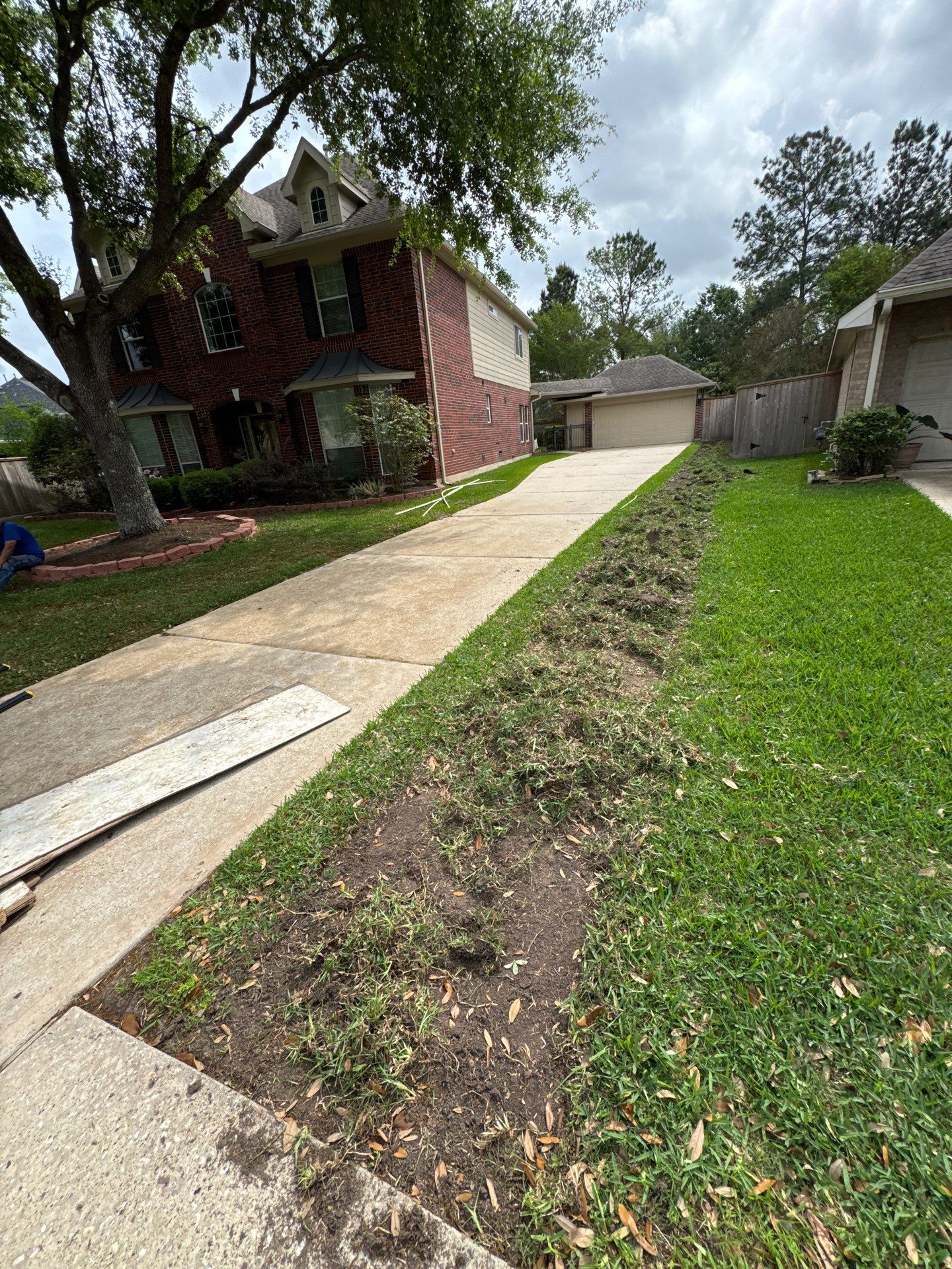 🌿 Mrs. Coleman’s Lawn & Drainage Restoration by Texas Urban Elements