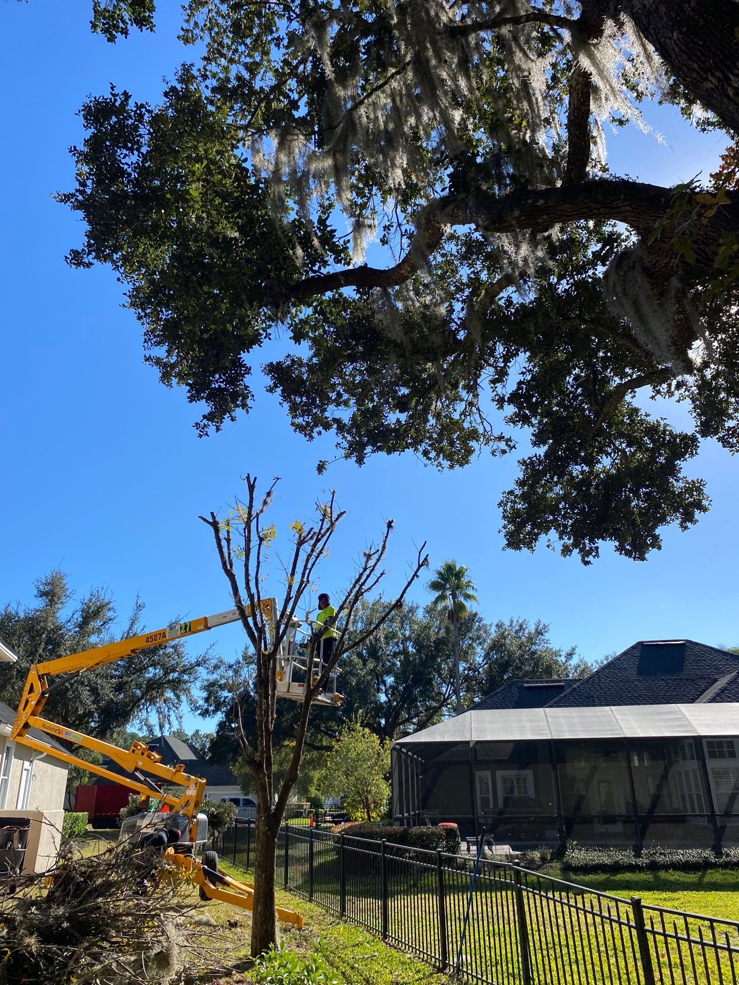 Residential | Tree Service by ProGreen Services