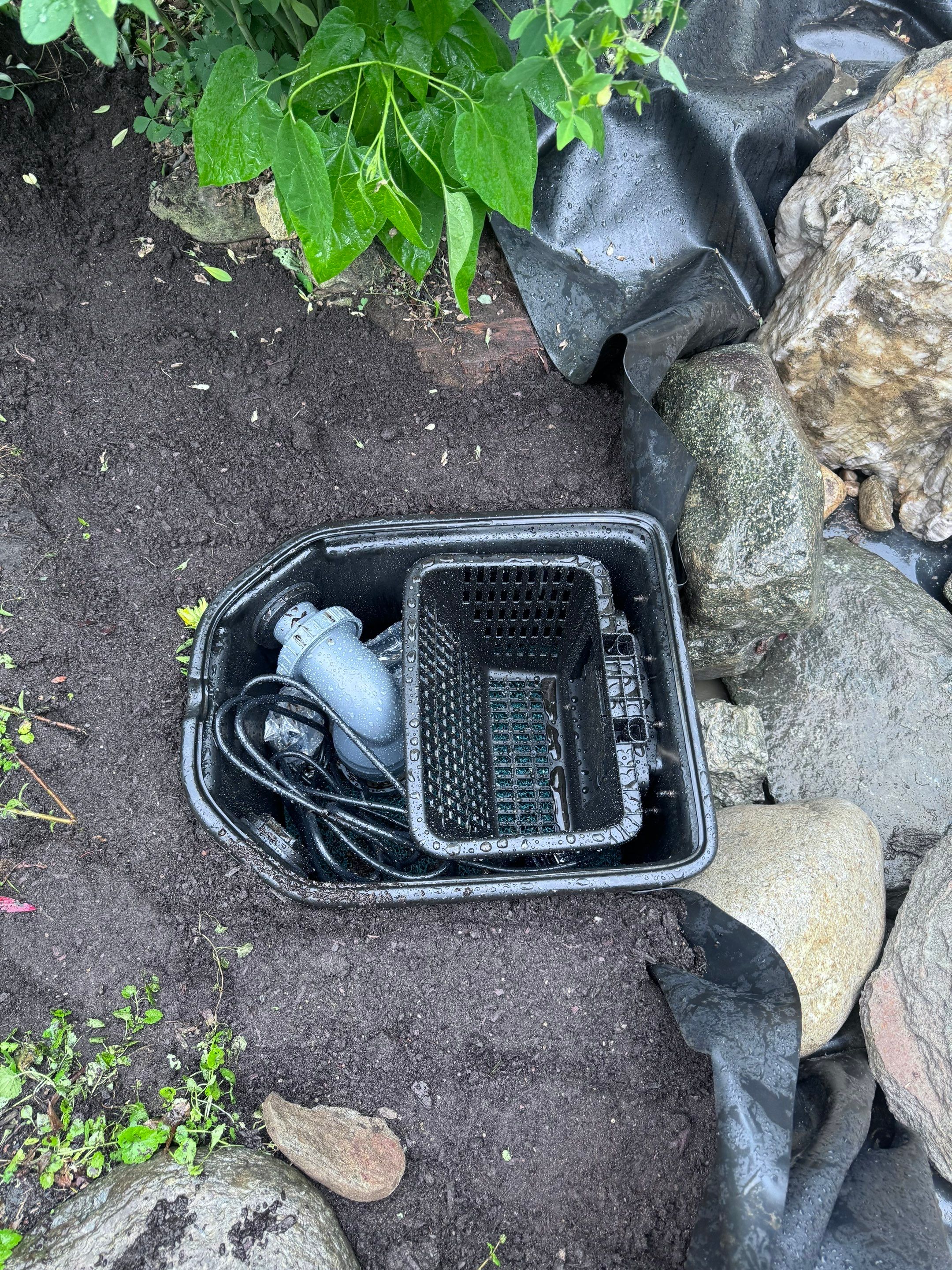 Small Pond Rescue in Williamsville, VT by Wicked Water Gardens