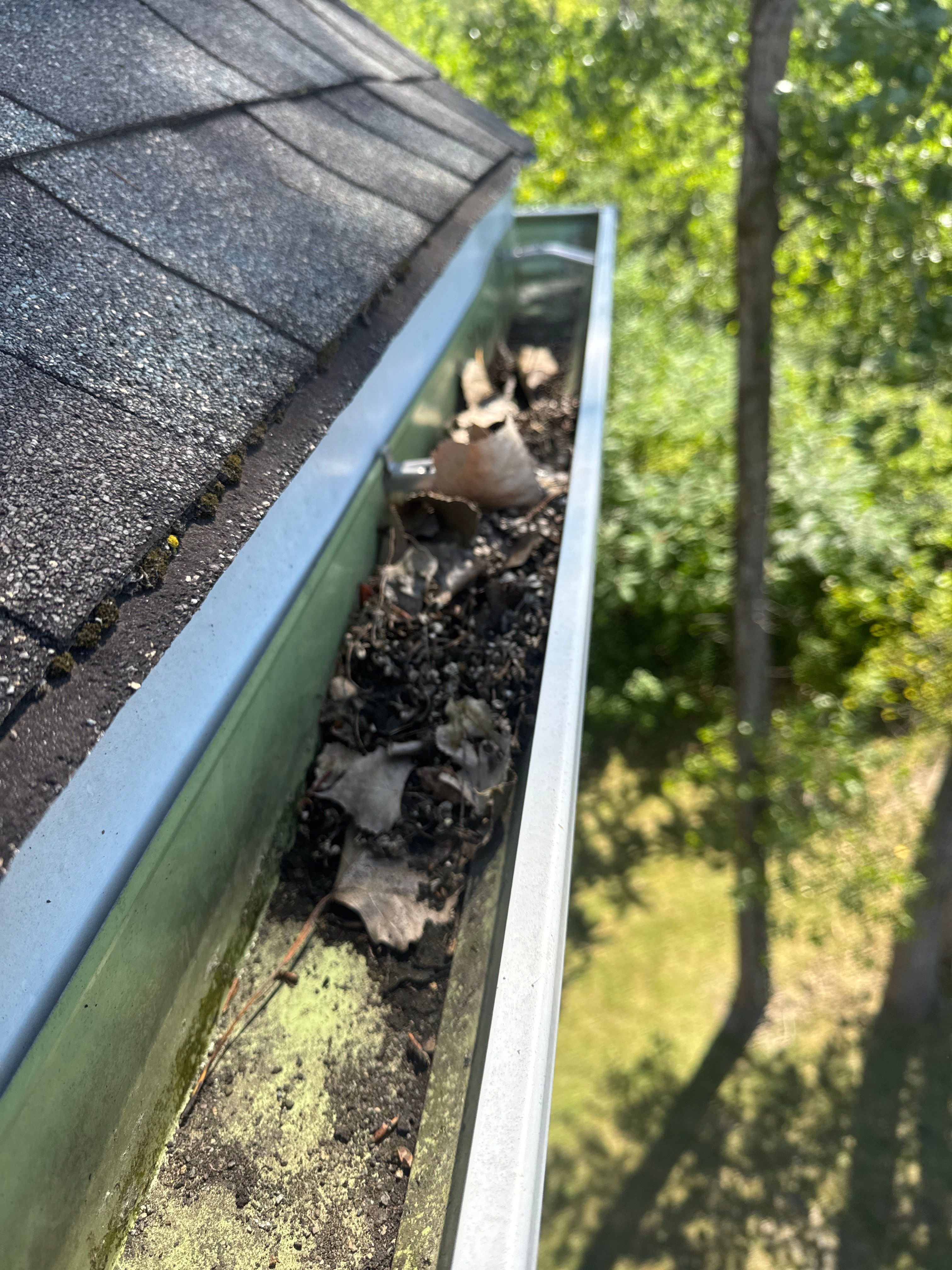 Commercial gutter cleaning Erie, PA before photo with filled gutters