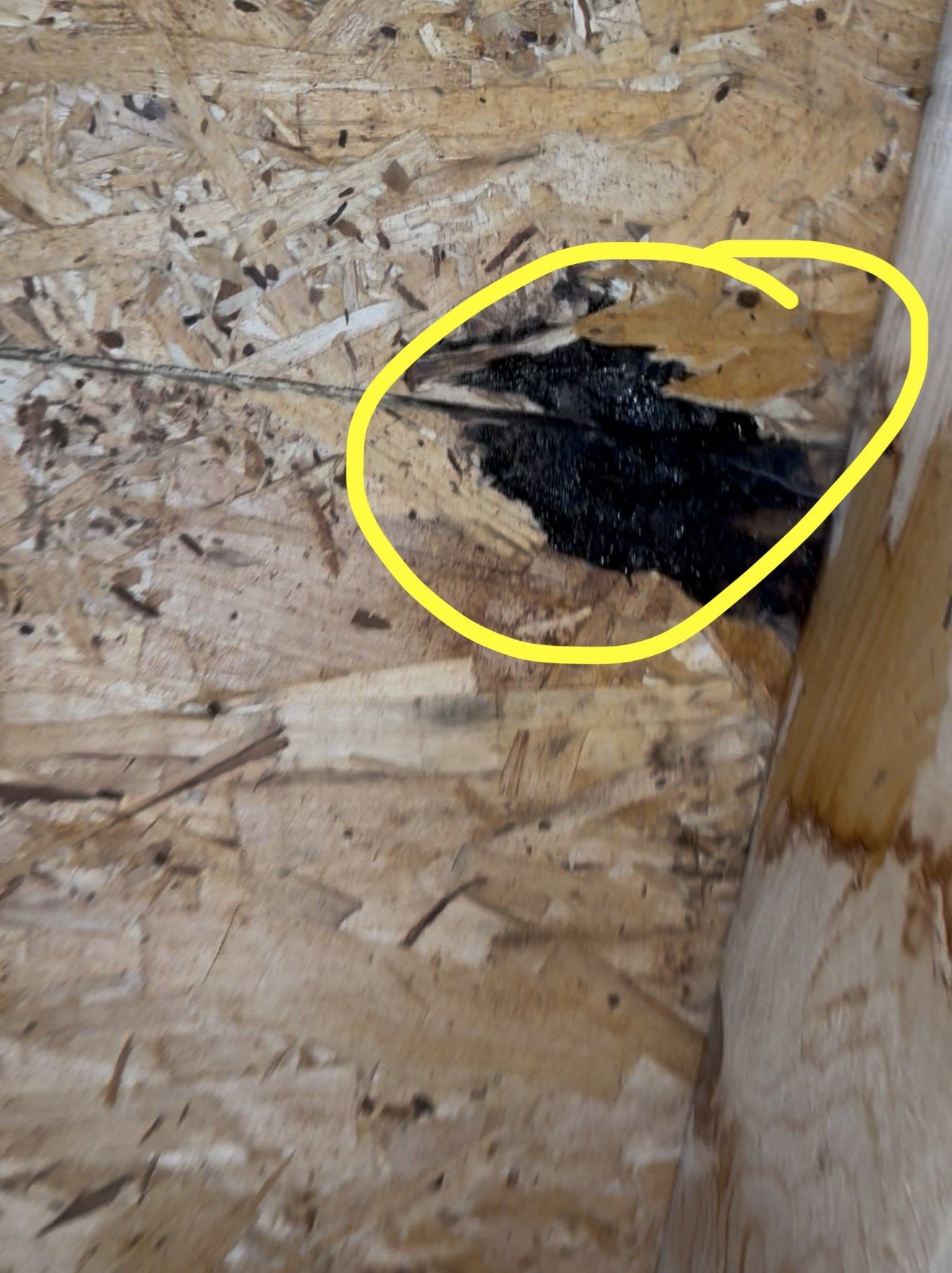 Leak Repair & Roof Wash – Groton, MA by Mighty Dog Roofing of Greater Middlesex County
