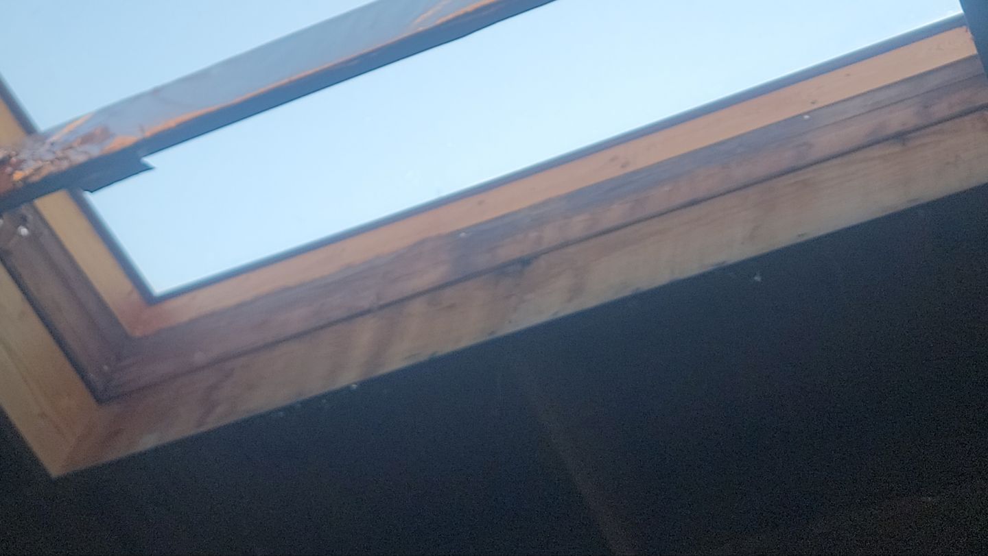 Roof Inspection & Moisture Mapping – Preventative Maintenance Saves Thousands by ASAP Roofing & Exteriors