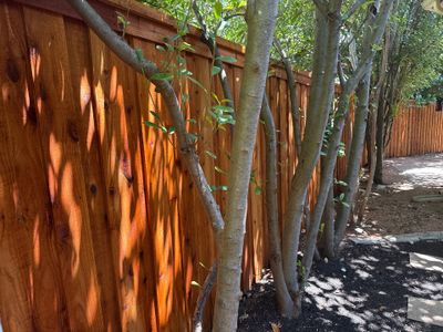 Cedar Privacy Fence Stain in Round Rock