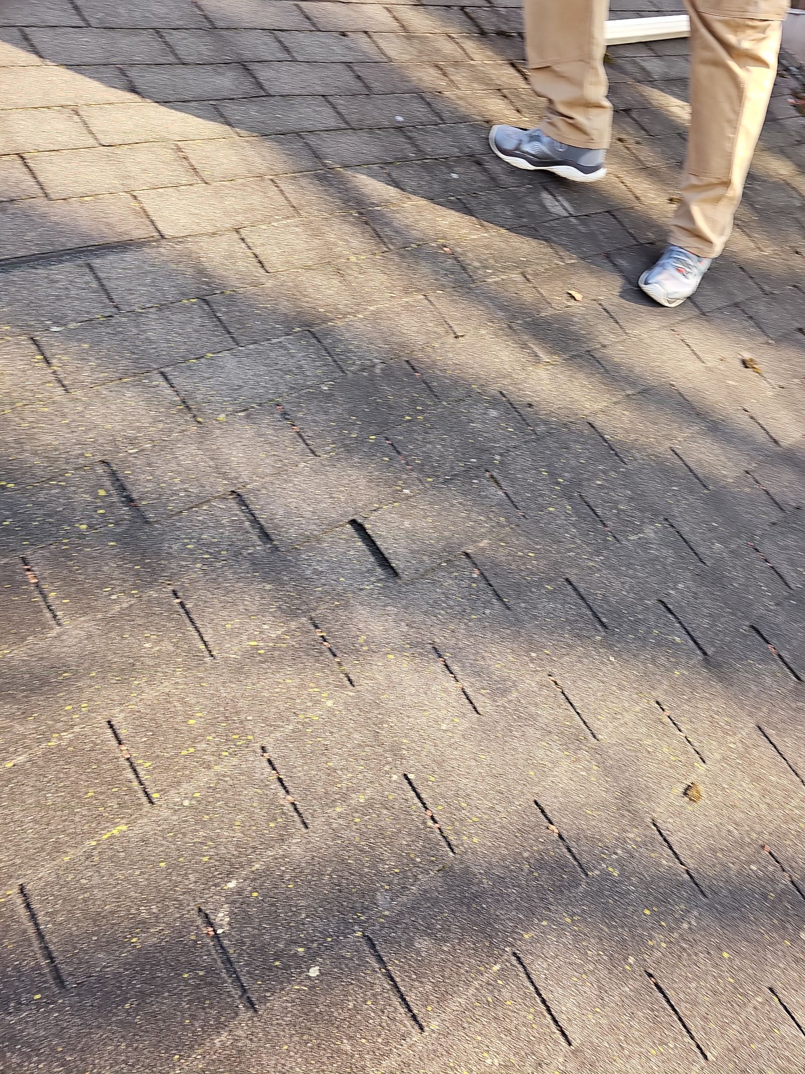 ATLAS PINNACLE HP W/SCOTCHGARD COLOR: SUMMER STORM  by Eagle Eye Roofing