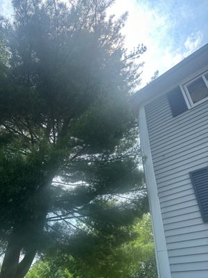 Siding Installation in Parchment