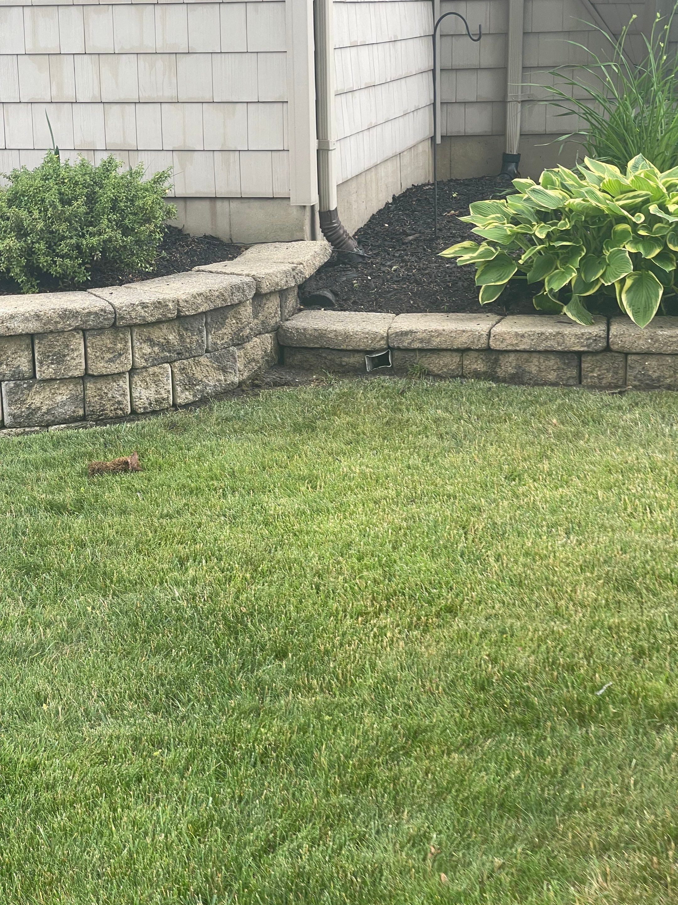 Residential Exterior Cleaning by SJ Exterior