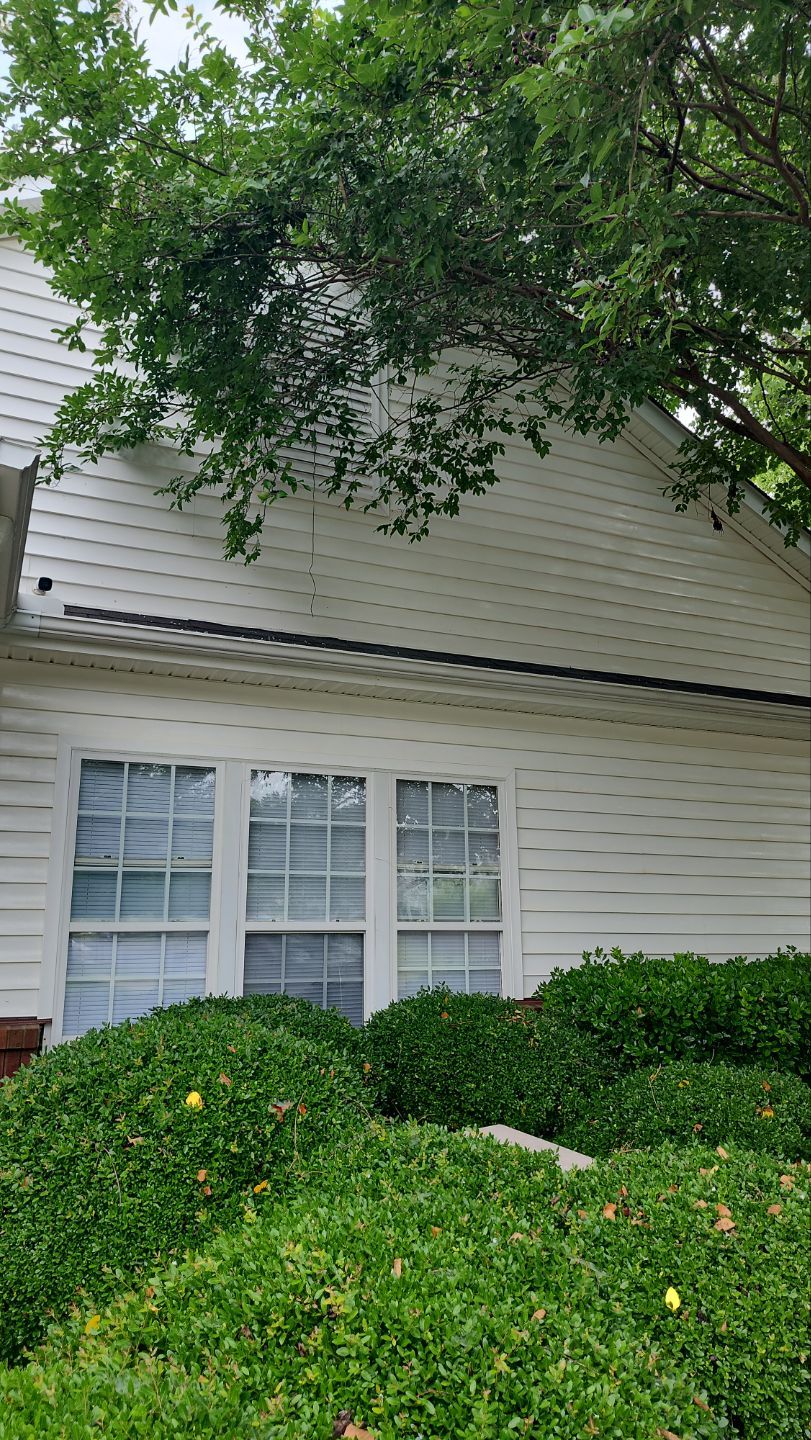 House Wash using cleaner by Power Wash Masters LLC