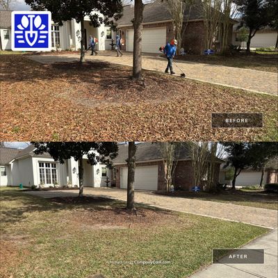 WINTER SERVICES: FULL LEAF JOB