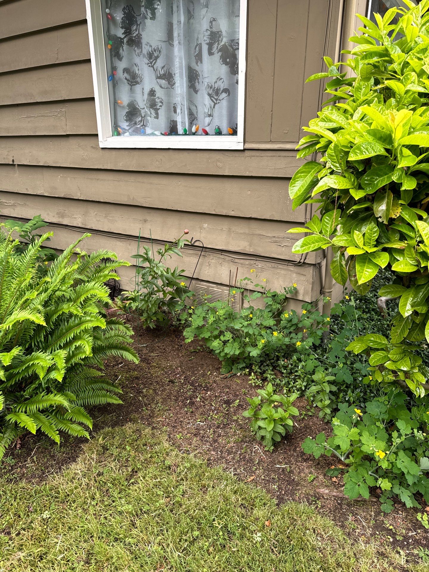 Project in Everett by Peaks and Valleys Construction