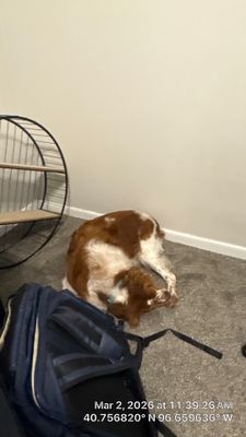 Interior Room Refurbishment in Lincoln, NE