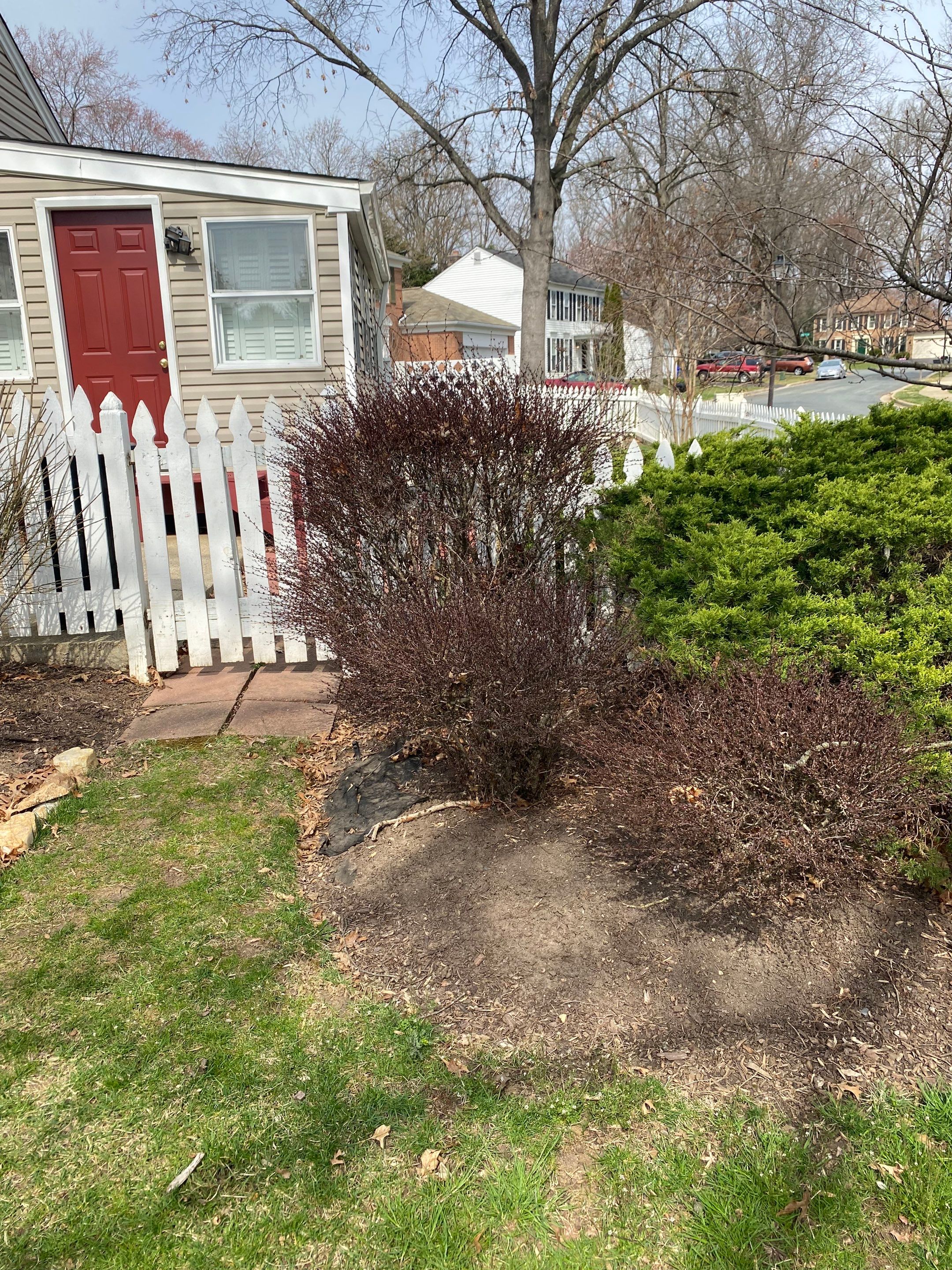 Landscape Design and Cleanup by The Smet Companies, LLC