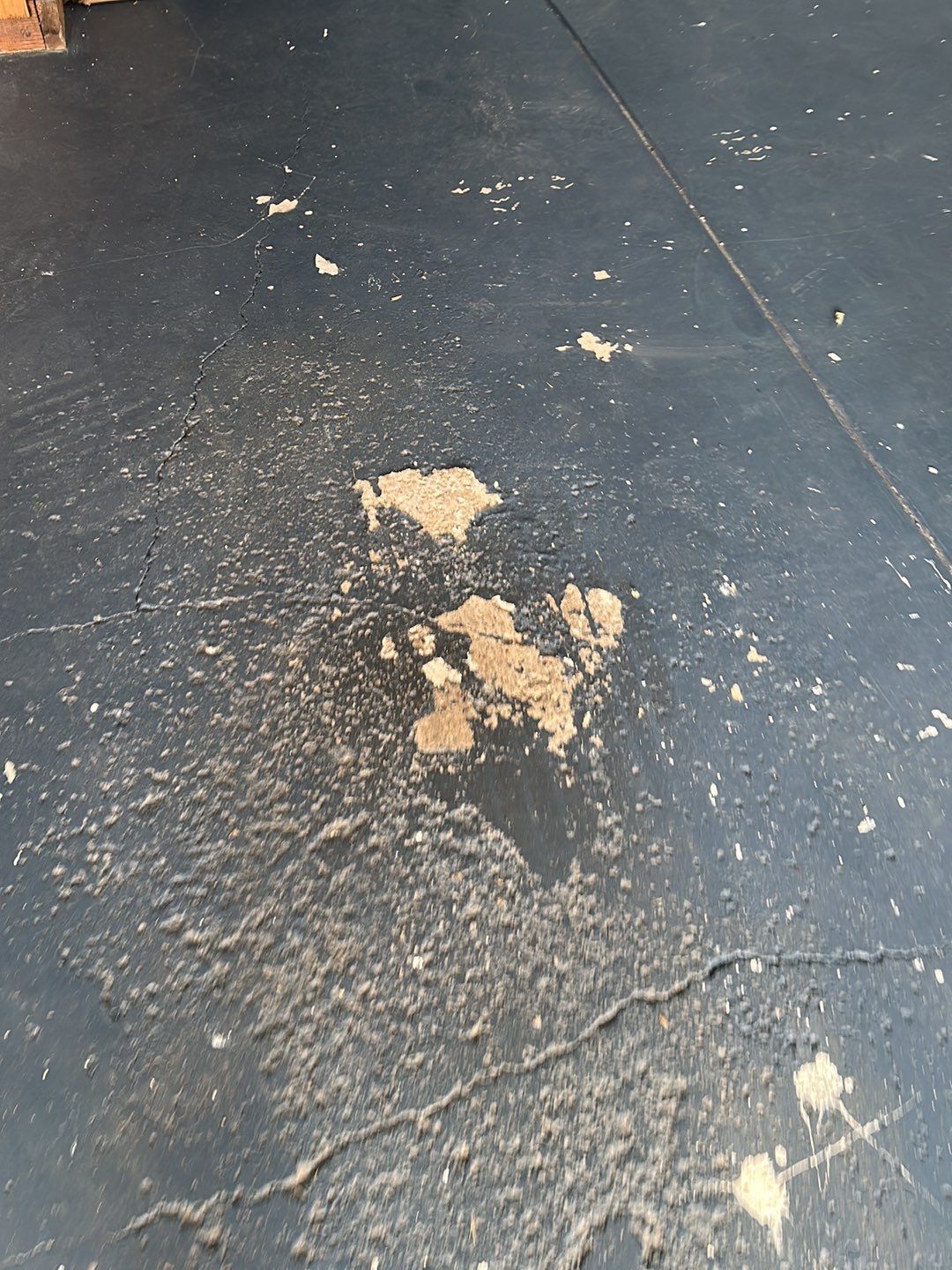 Garage Project in Butler by Floors in a Day, Inc