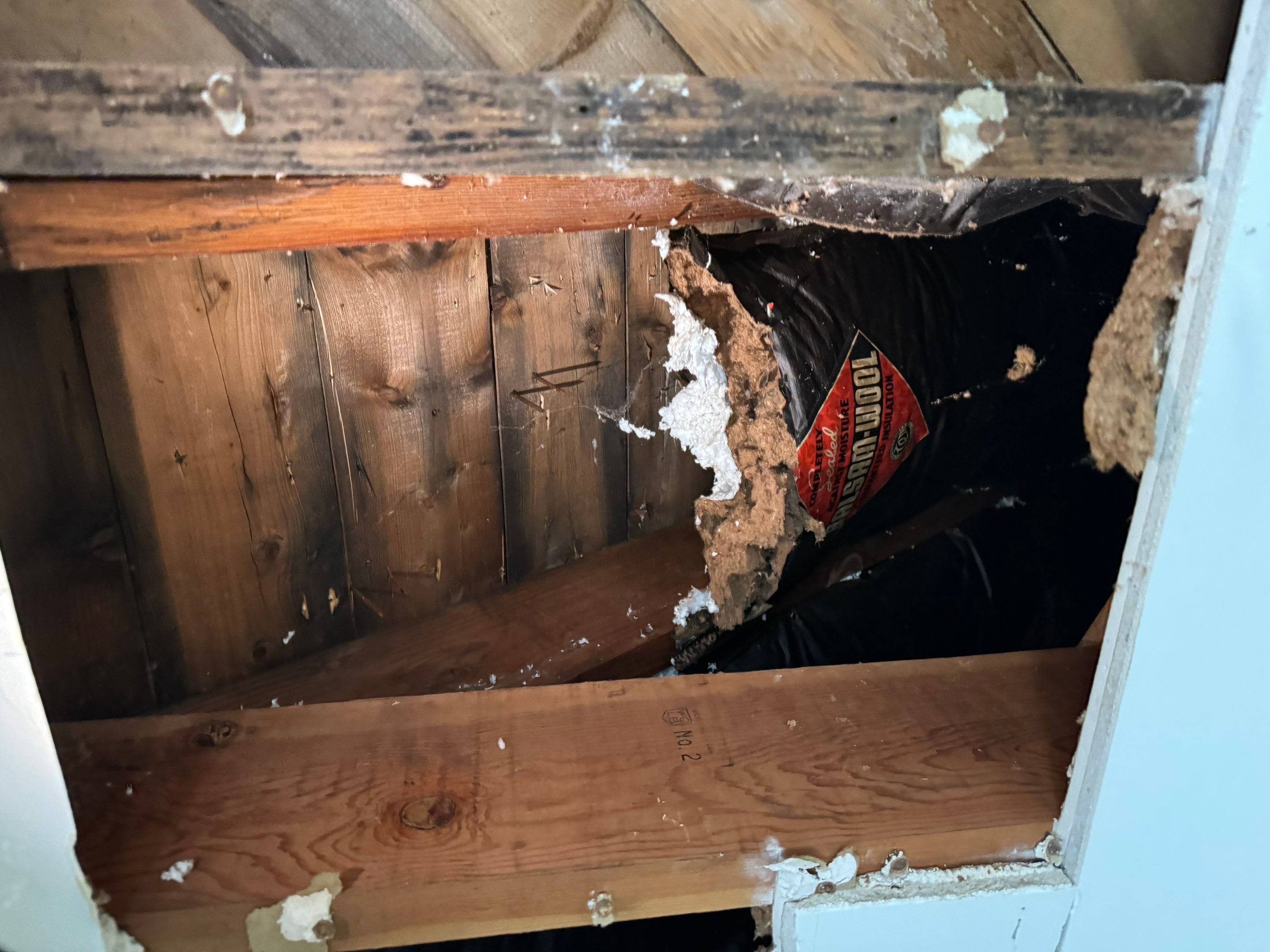 Bedroom Mold Remediation by Home Guarantee, LLC