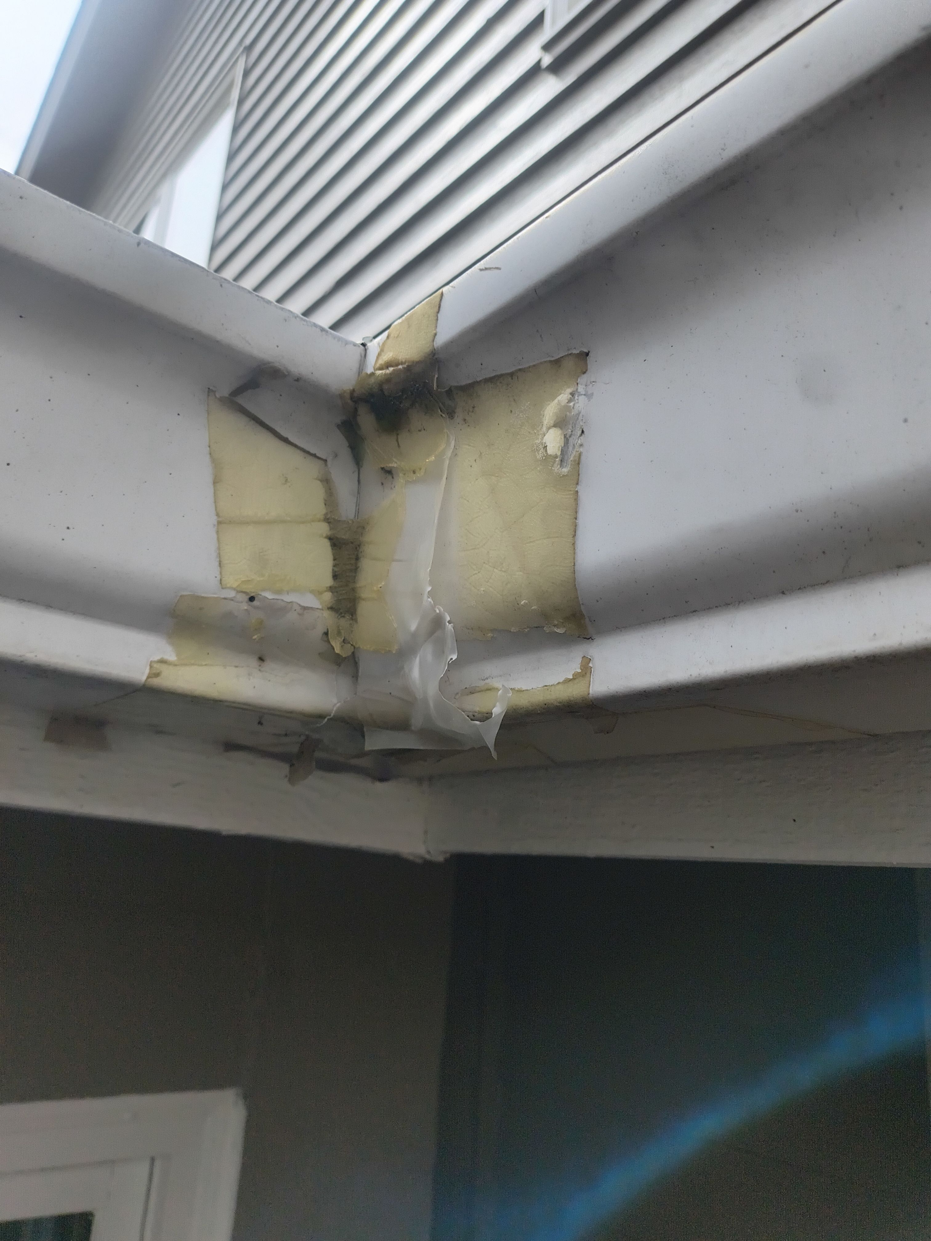 Gutter Replacement in Bloomington, MN | Leaking Gutter Fix & Upgrade by Next Level Seamless Gutters / Exteriors Inc.