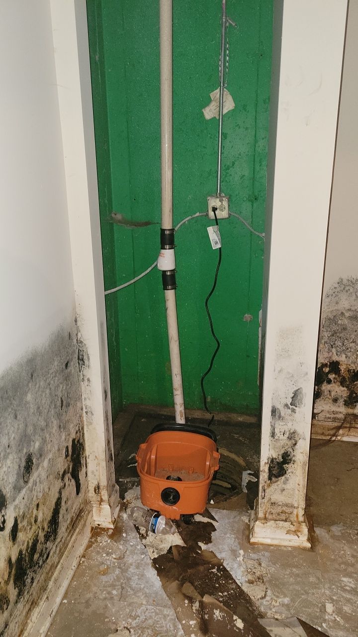 Grossly Contaminated Basement Mold by Chicagoland Water Medics