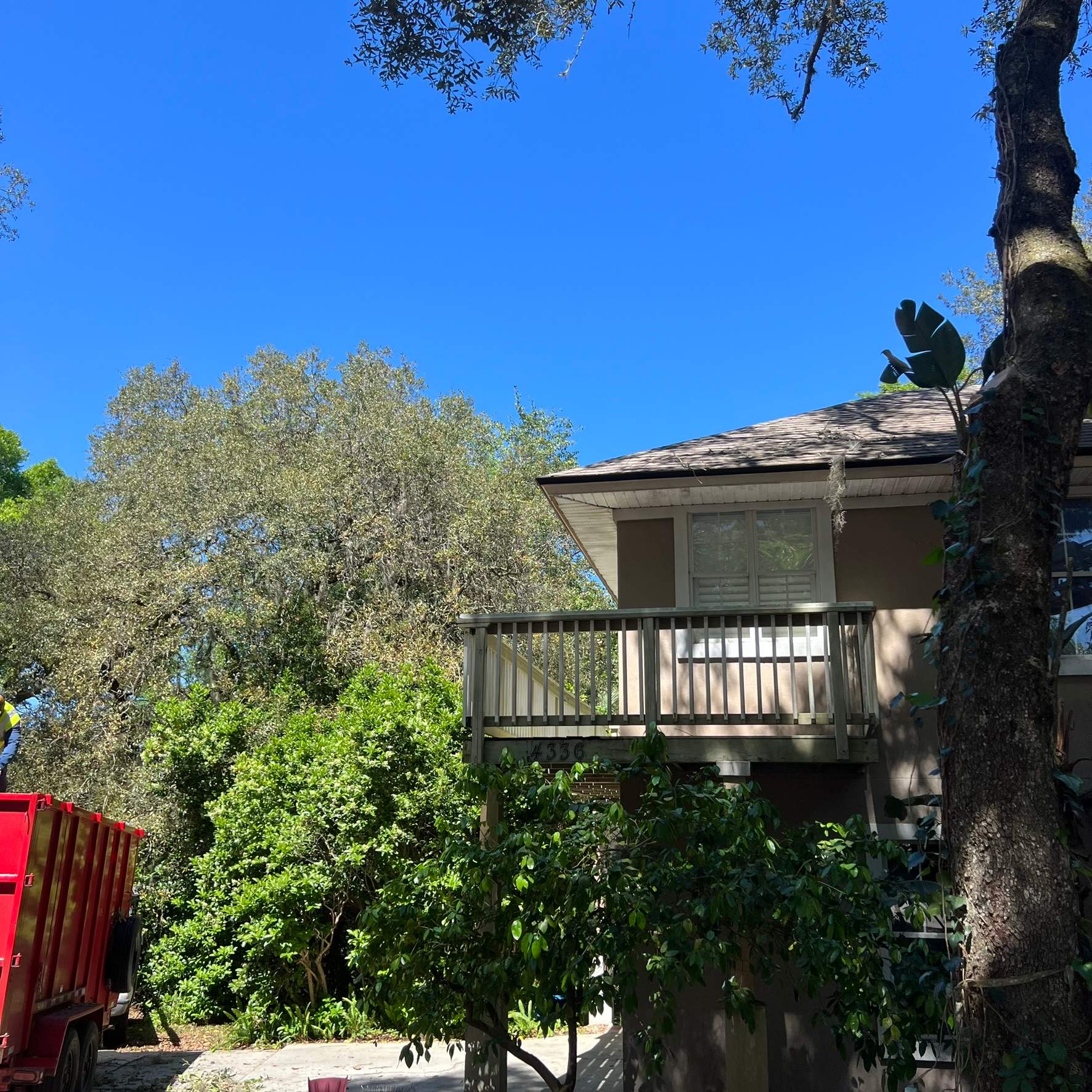 Tree Trimming | Hidden Hills by ProGreen Services
