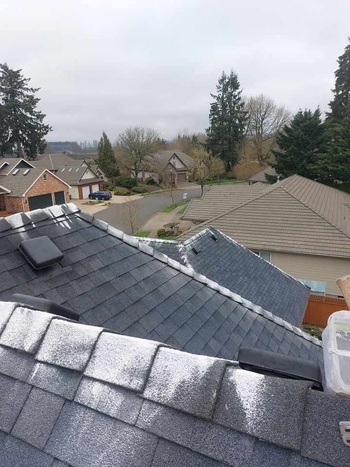 Roof Cleaning  using Moss Treatment  by BEST Roofing & Waterproofing