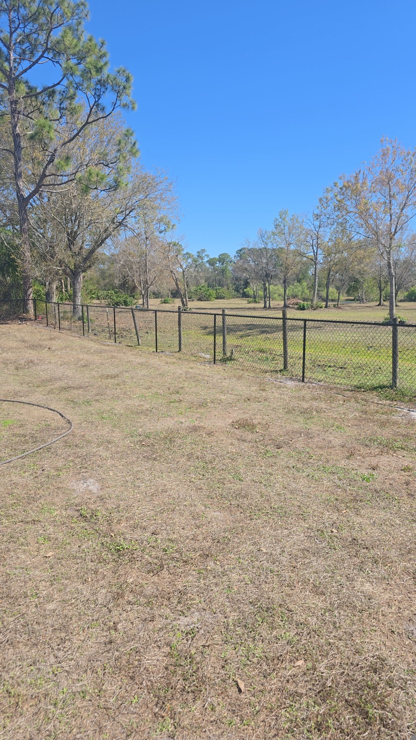 Chain Link Fence in Punta Gorda by True Fence LLC
