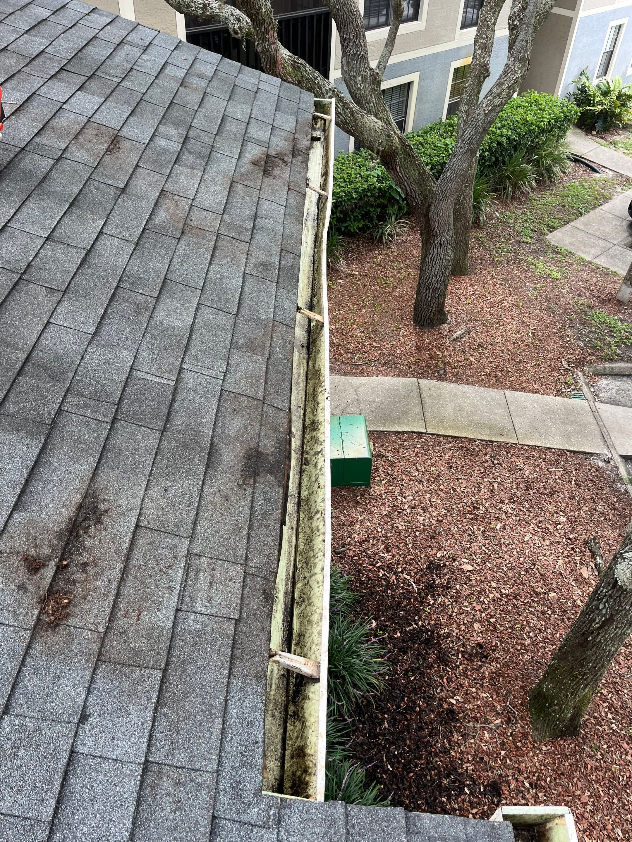 Lutz gutter cleaning job all cleaned gutters at residential location