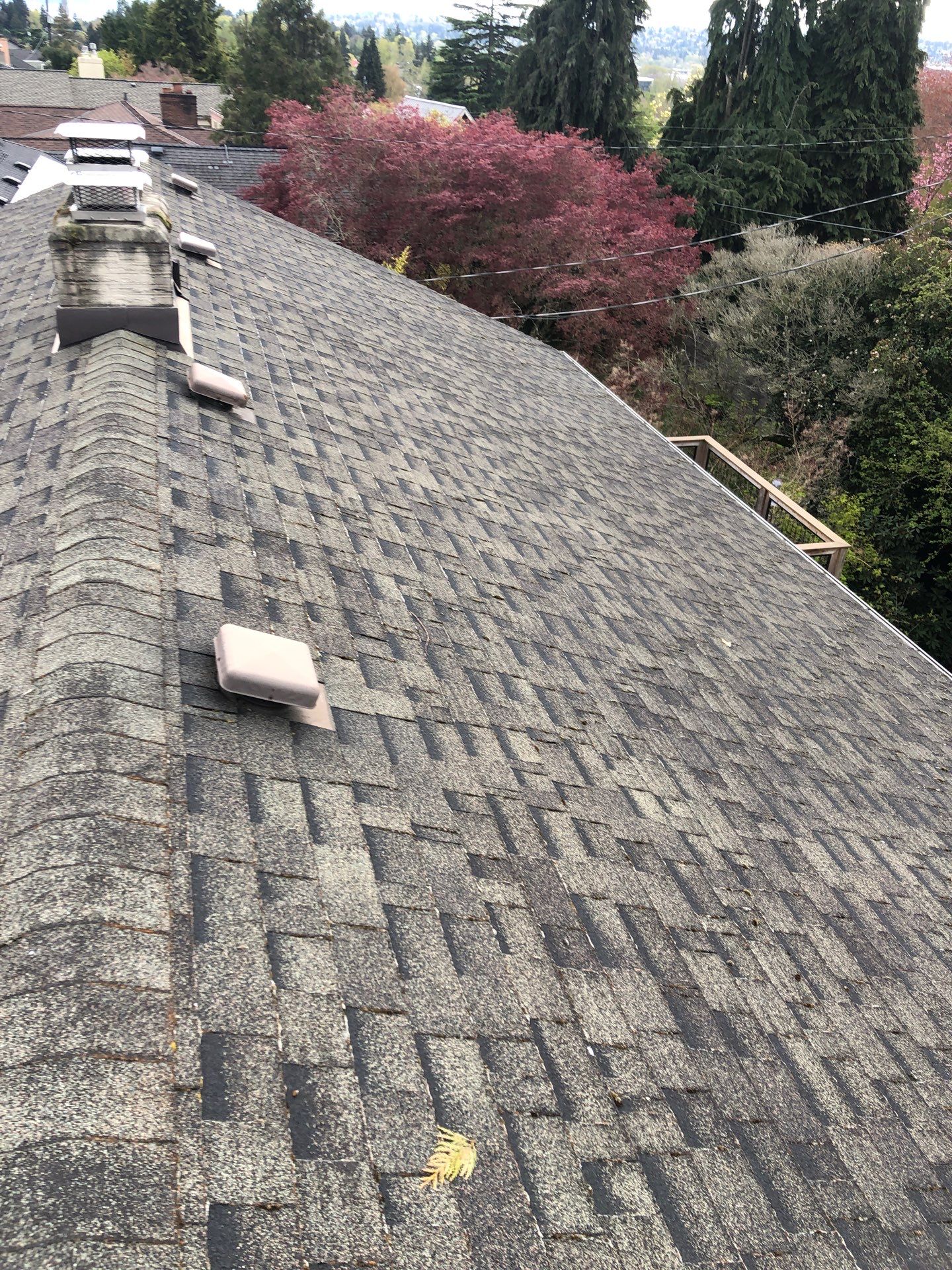 Project in Seattle by Peaks and Valleys Construction