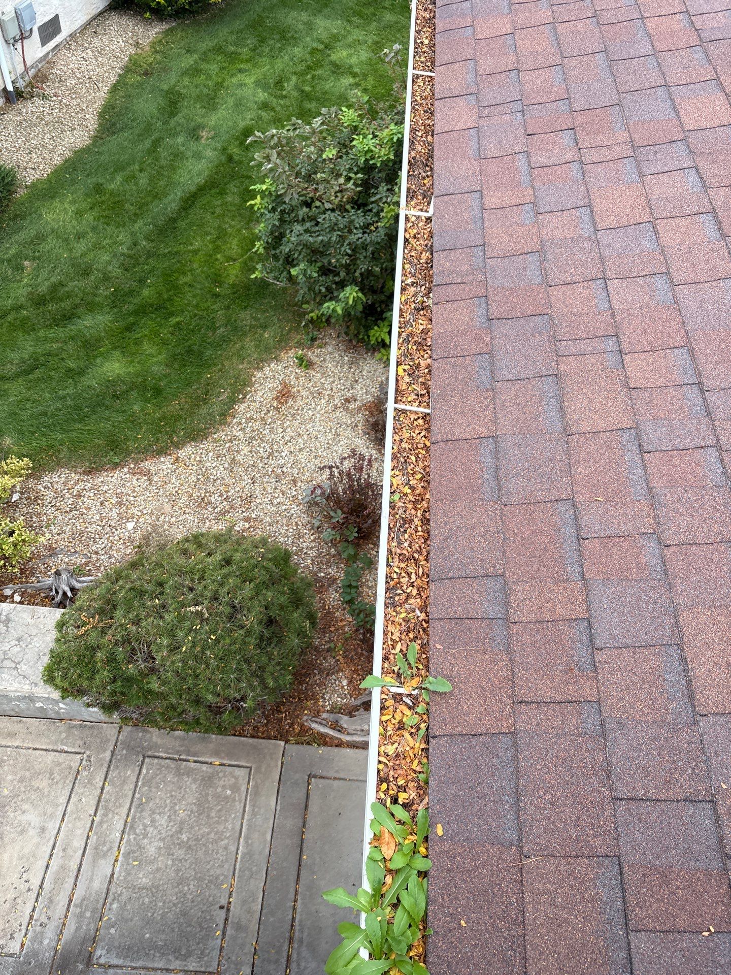 Commercial gutter cleaning Pueblo before photo with filled gutters