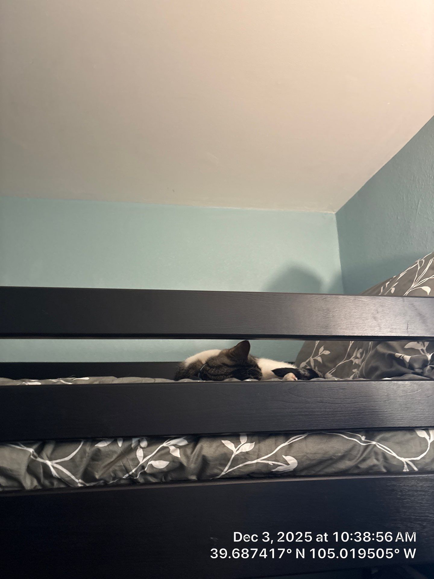 Jones Remodel by CompanyCam Sales Demo