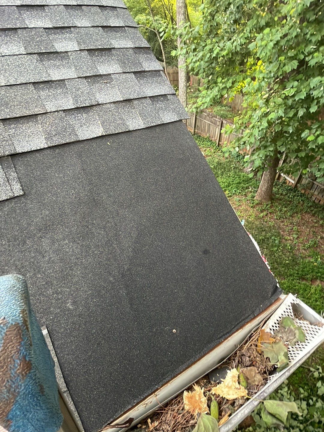 🌳 Tree Limb Hole Repair by Georgia Roof Advisors