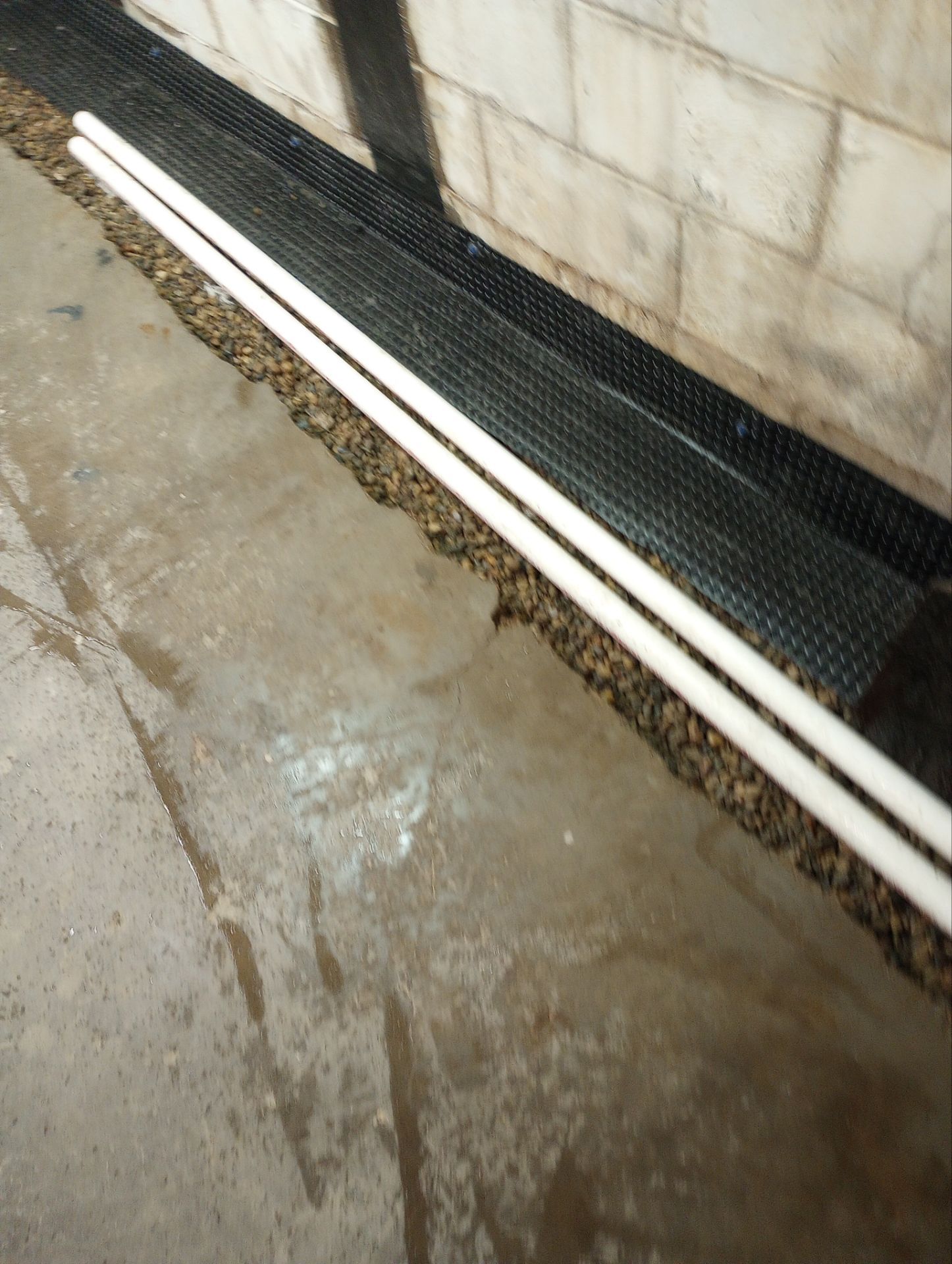 St. Paul Rental by Waterproofing Northeast