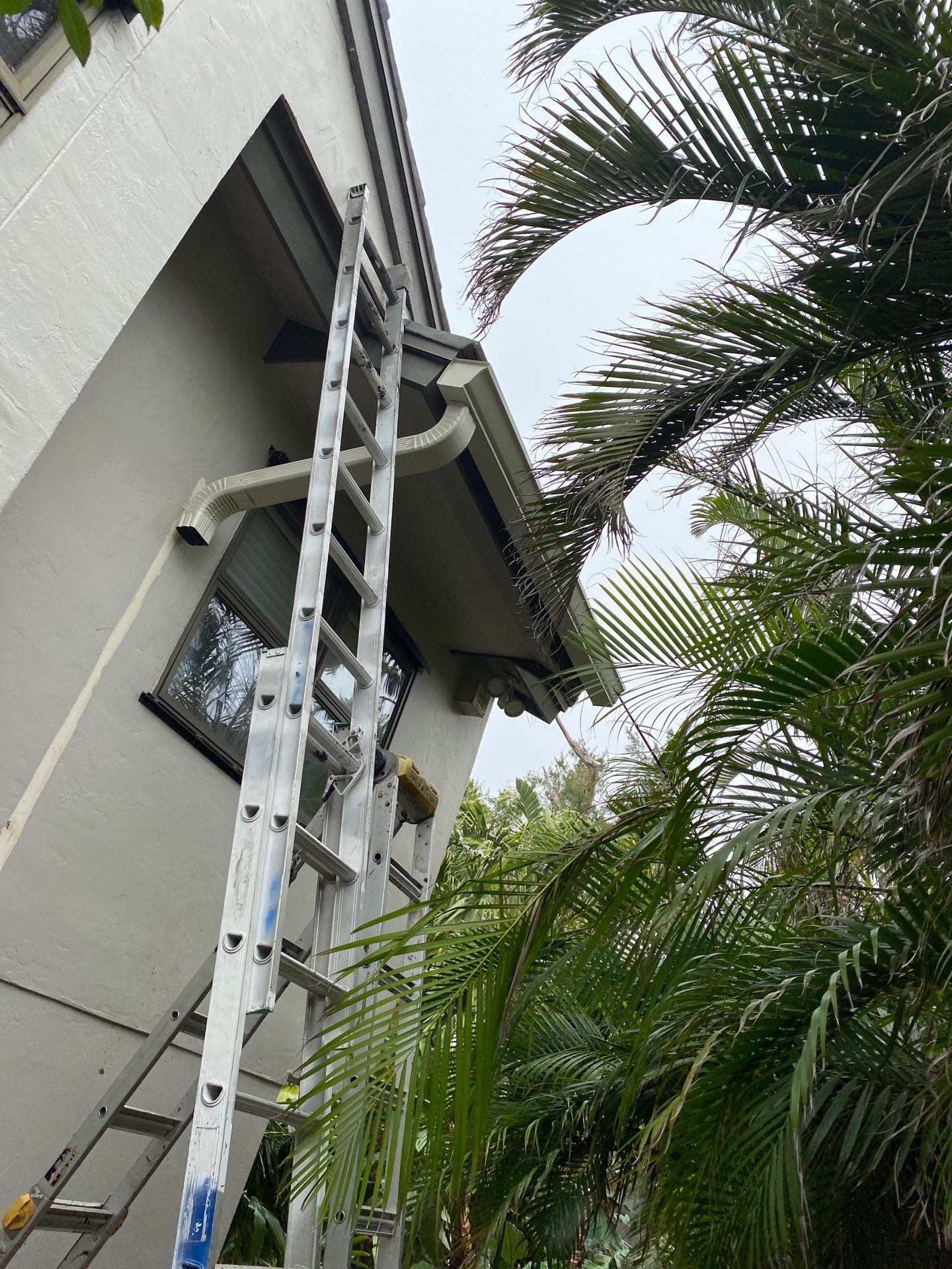 7-Inch K-Style Seamless Gutters in Longboat Key FL by Gutter Professors
