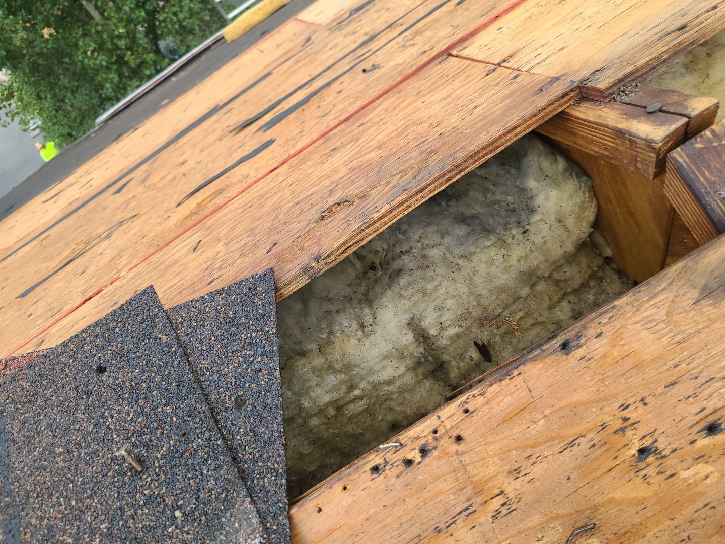 Alexandria: Roof Replacement with CertainTeed Landmark Pro in Max Def Burnt Sienna by RM Banning, Inc.