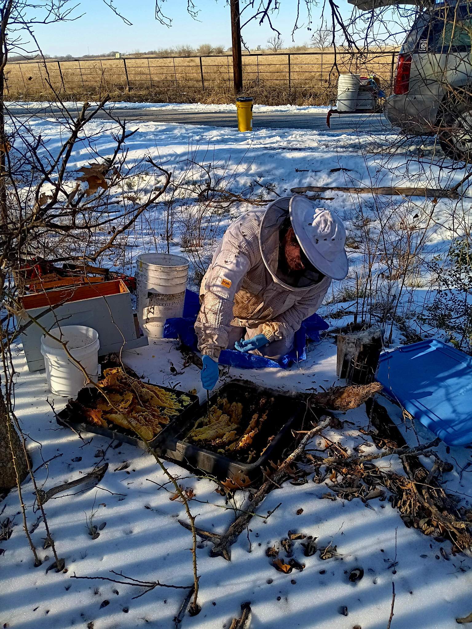 Winter Freeze Bees by Rockwall Honey Bee Company