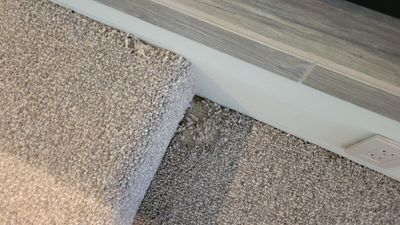 Repairing Wool Carpet Damaged by Moths