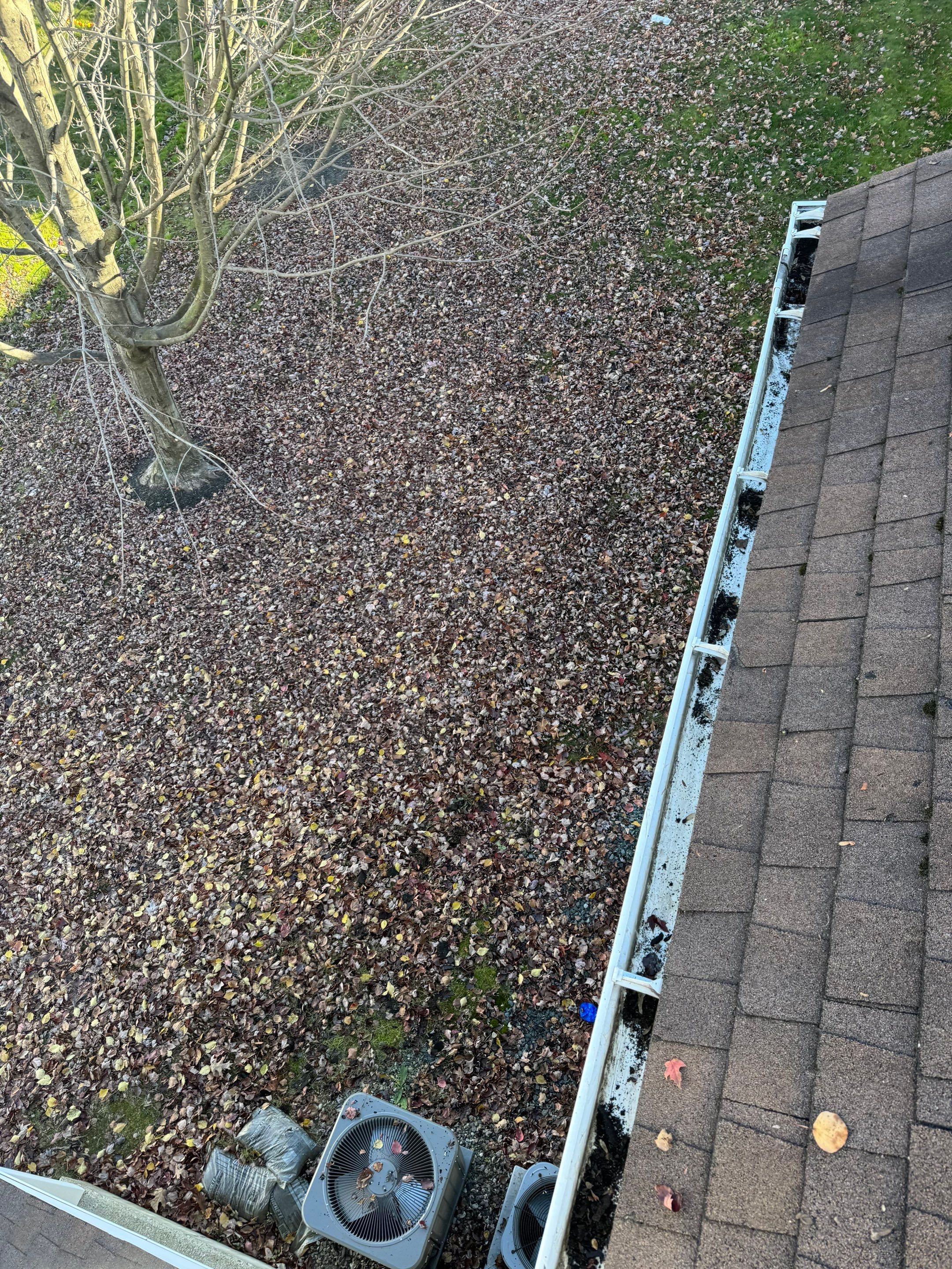 Commercial gutter cleaning Albany after photo with clean gutters