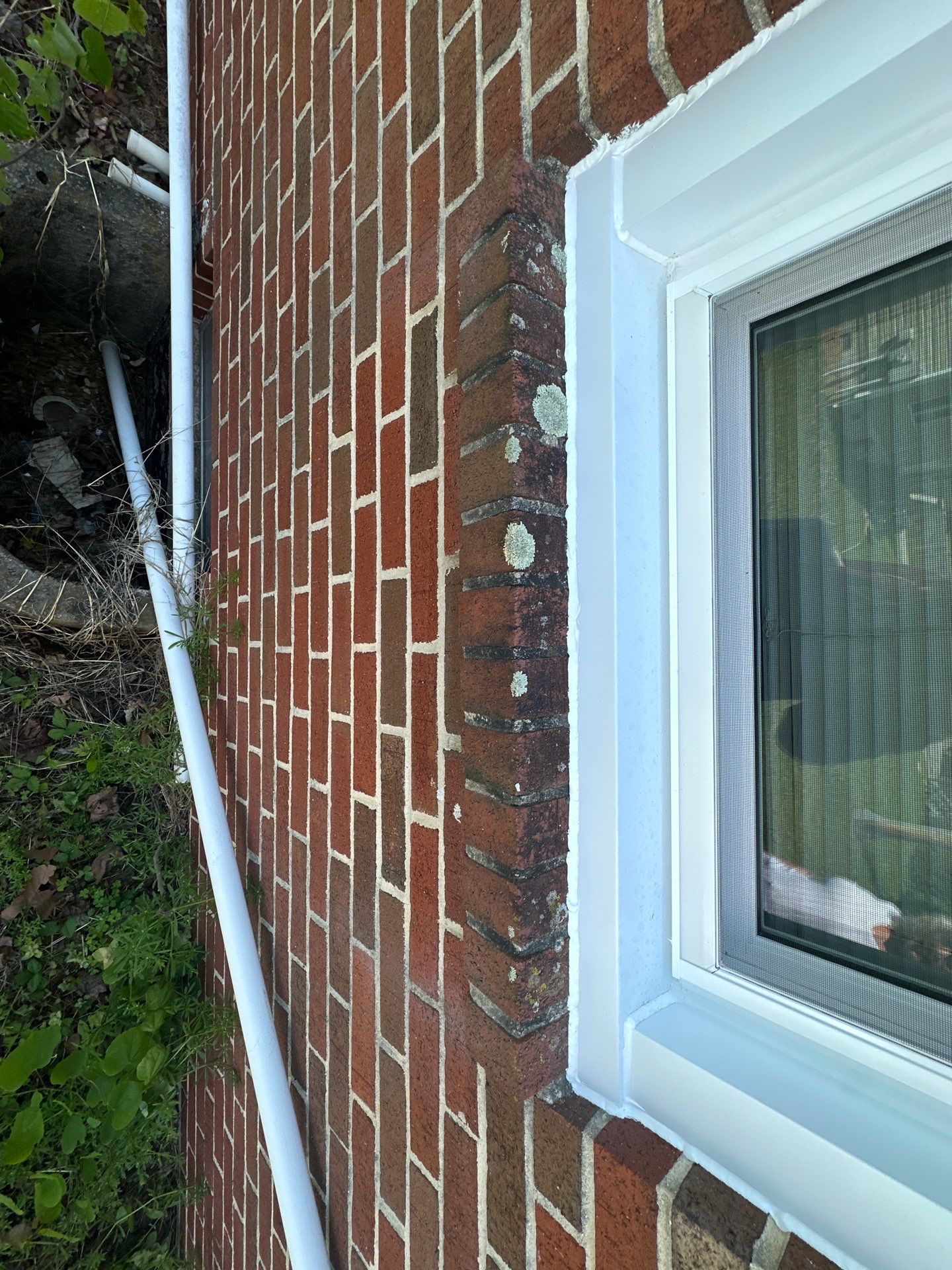 Double Hung Windows by Aspen Home Improvements