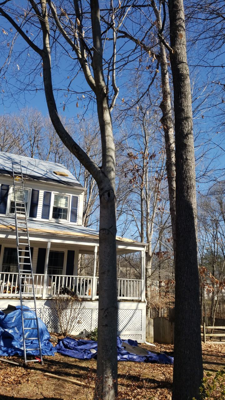 Woodbridge CertainTeed Landmark Pro MD Charcoal Black New Roof Installation by RM Banning, Inc.