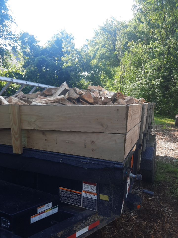 Tree Removal using Tree Removal by Mike Jones & Sons Tree Service LLC 