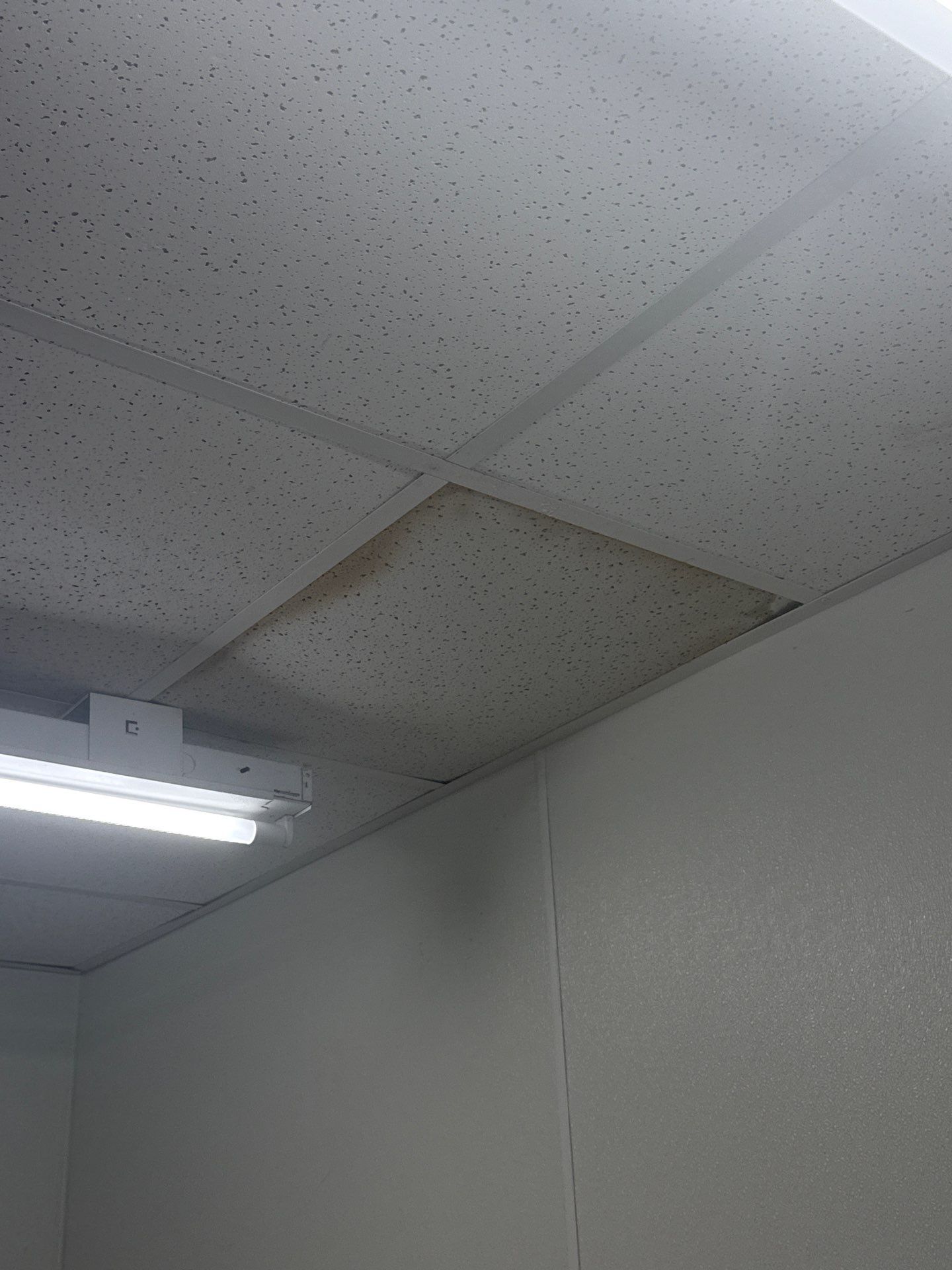 Roof Repair in Sylvania by NANOROOF Alabama